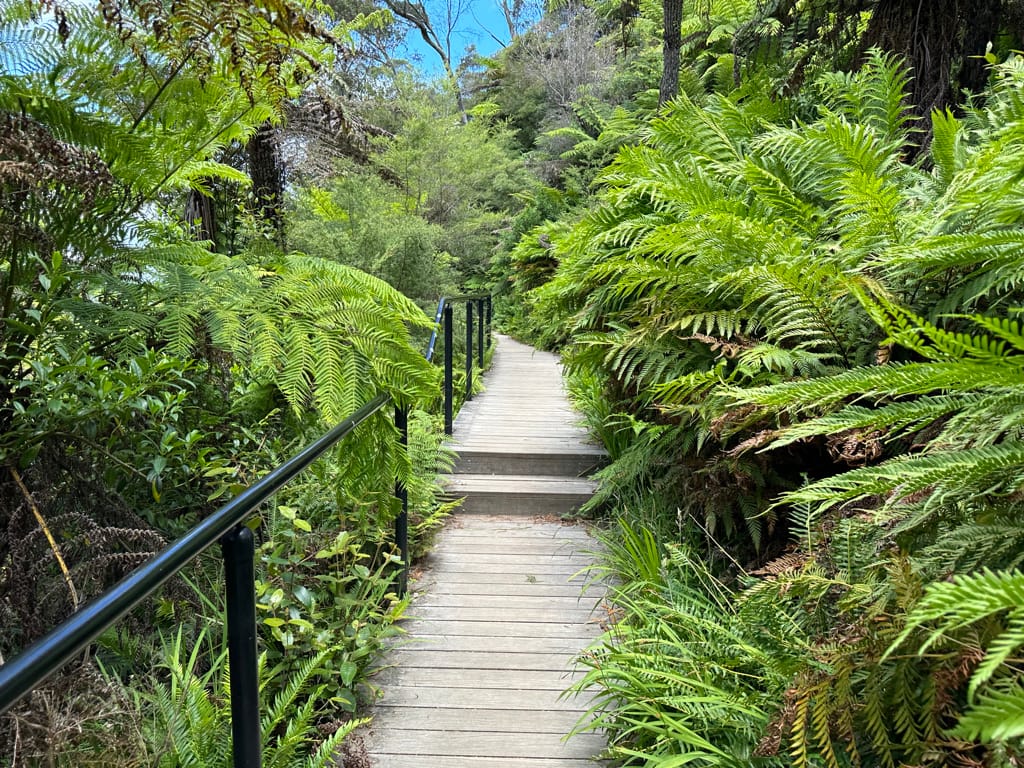 Katoomba Falls Kiosk photo 5