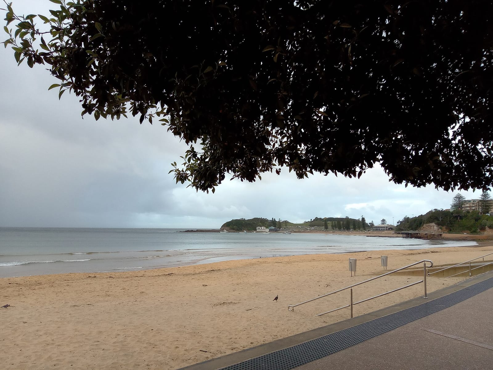 Terrigal Surf Café photo 3