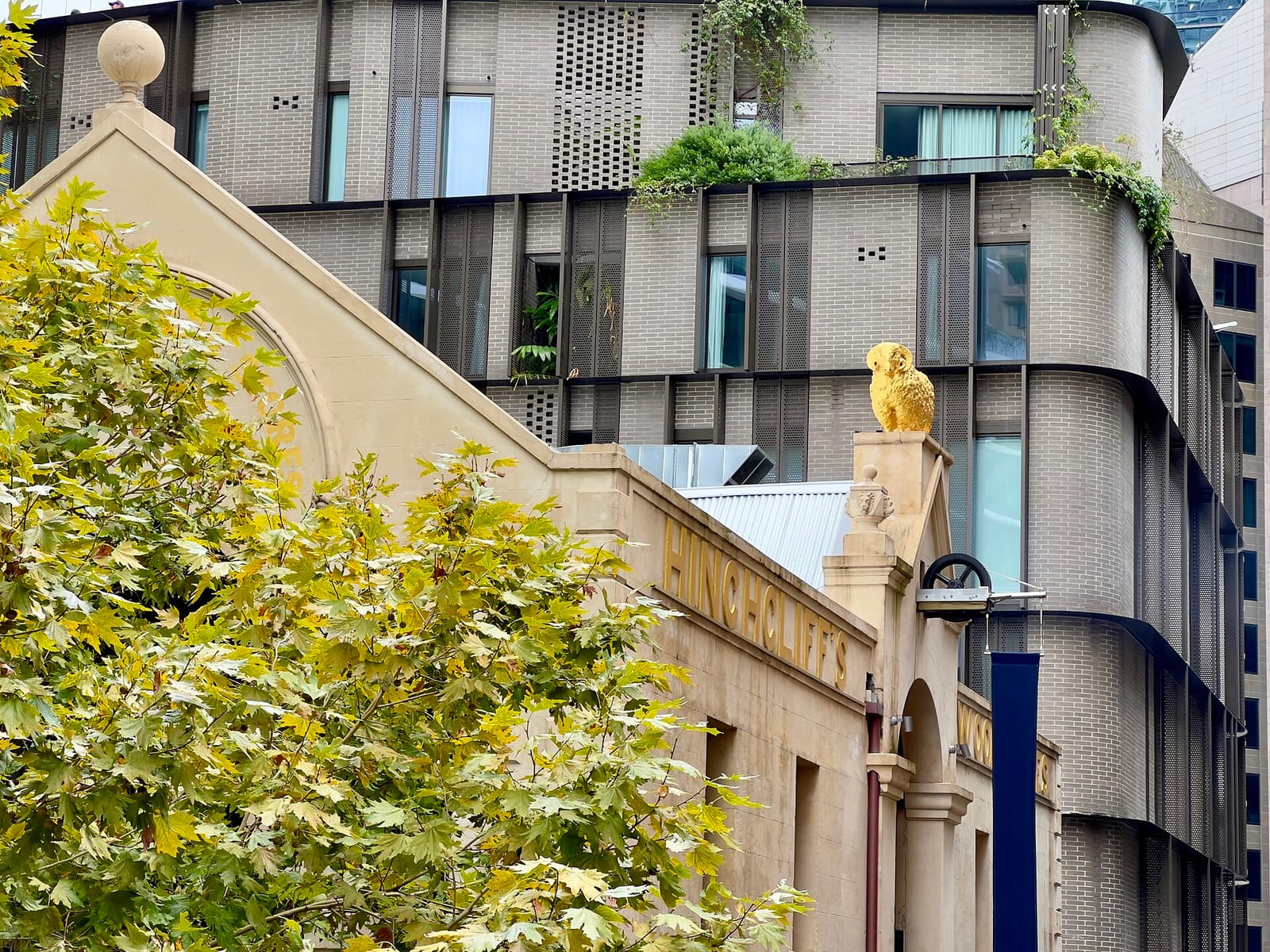 Skittle Lane photo 4