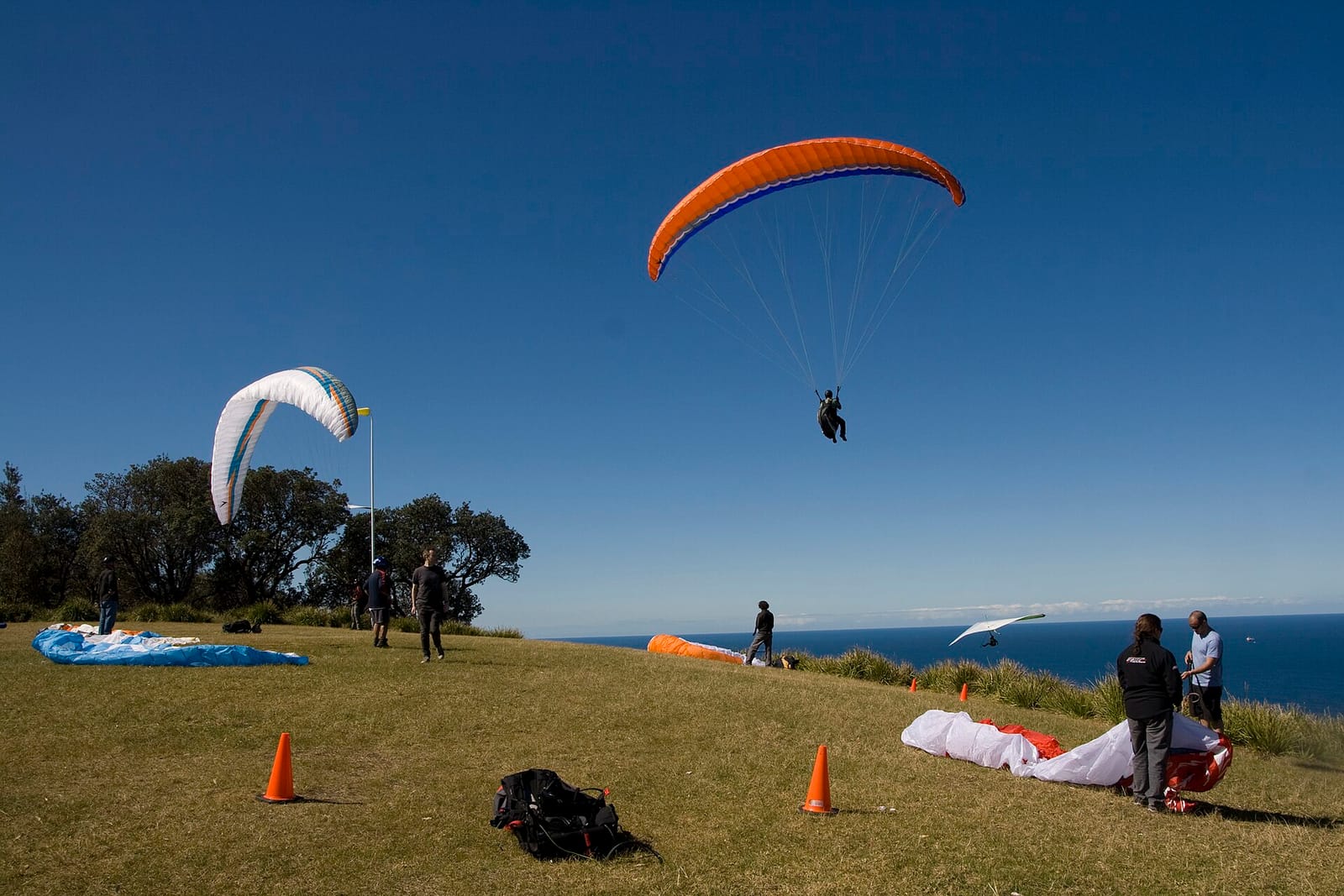 Flying High Cafe photo 3