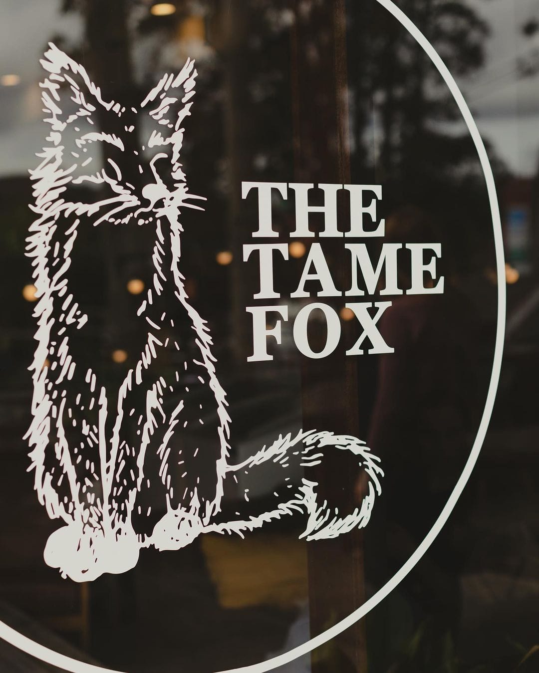 Tame Fox photo 8