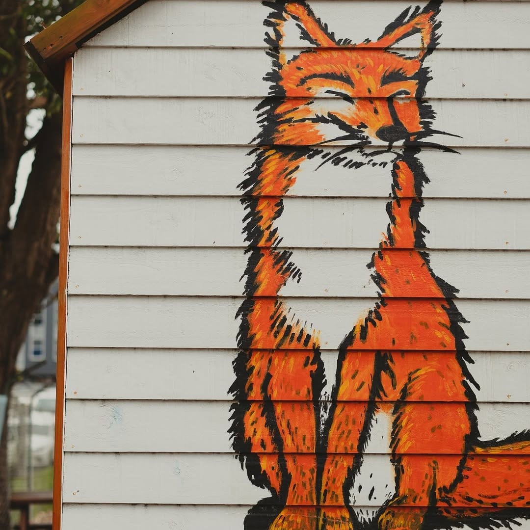Tame Fox photo 9