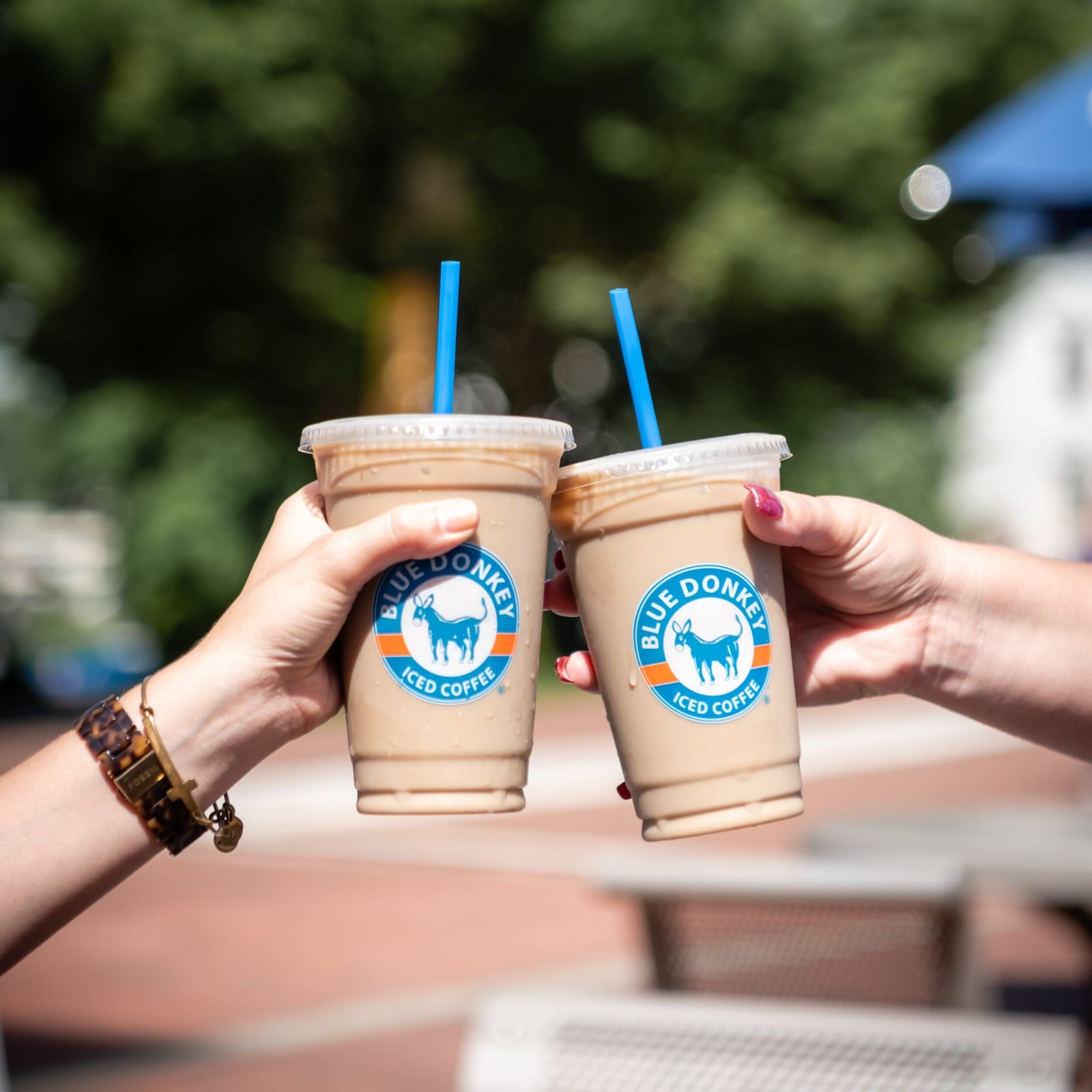 Blue Donkey Coffee photo 7