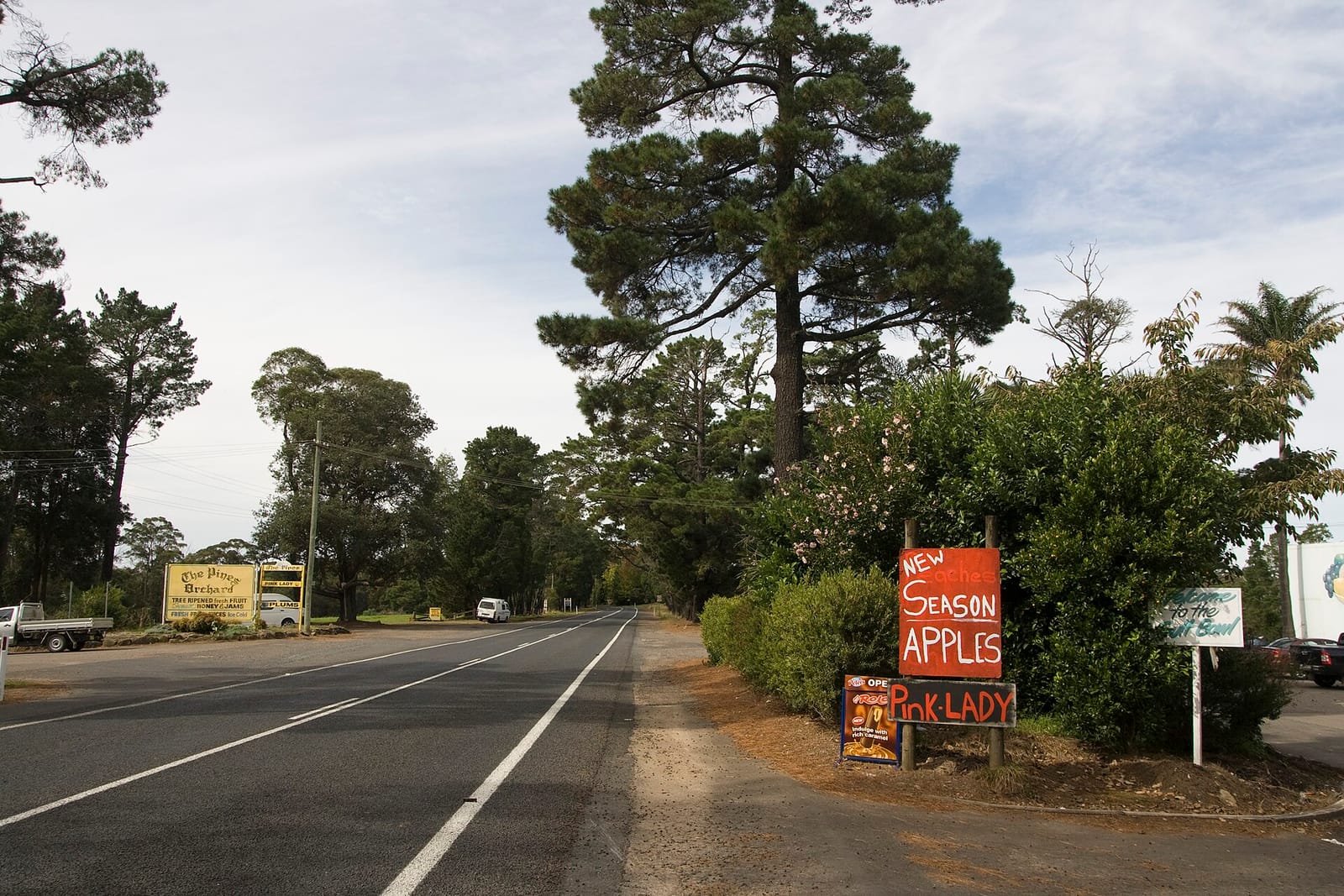 Mountain Bells Cafe photo 4