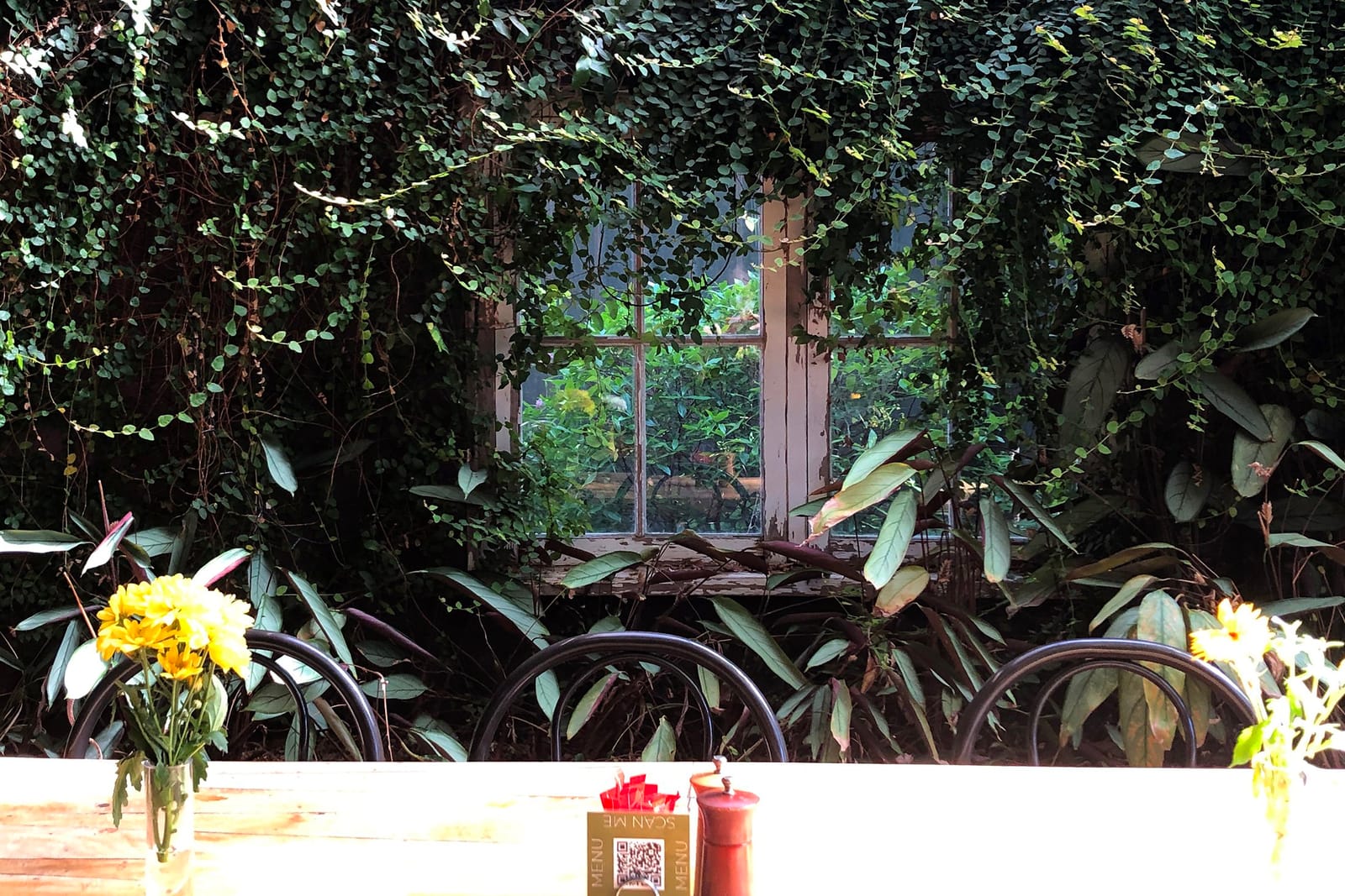 Nile Street Cafe photo 2
