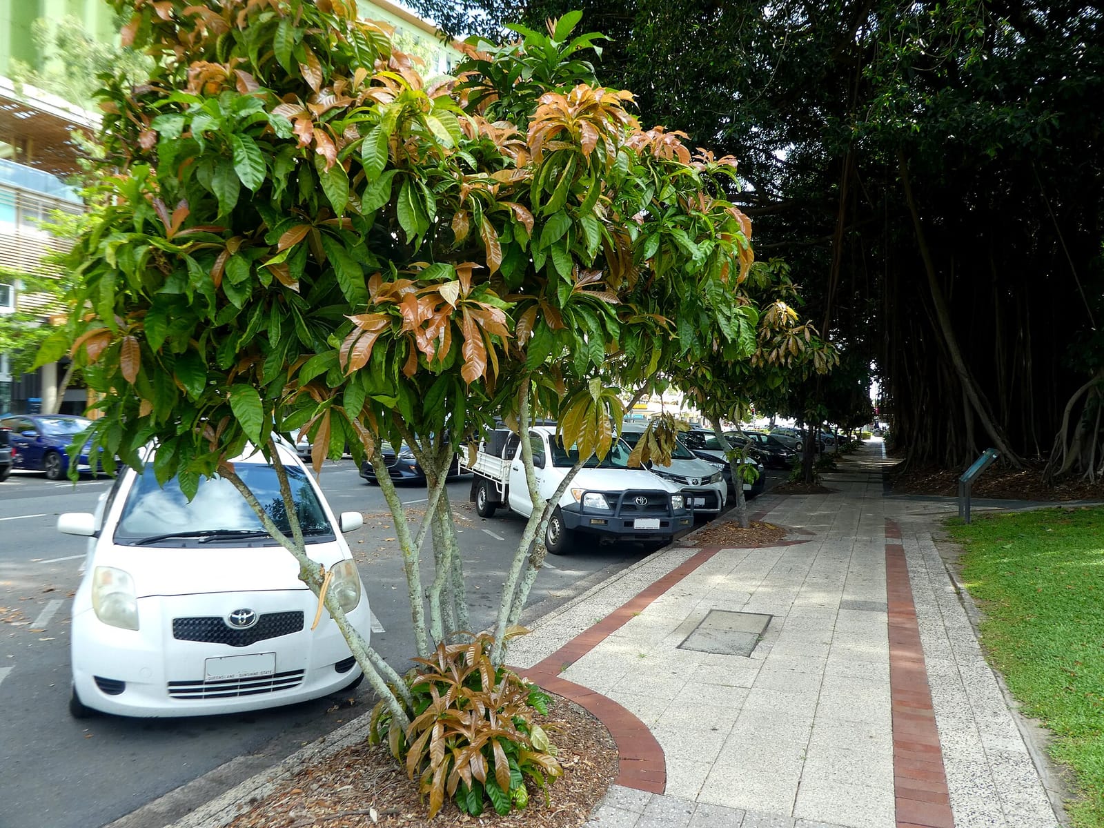 Cairns Burger Cafe photo 2