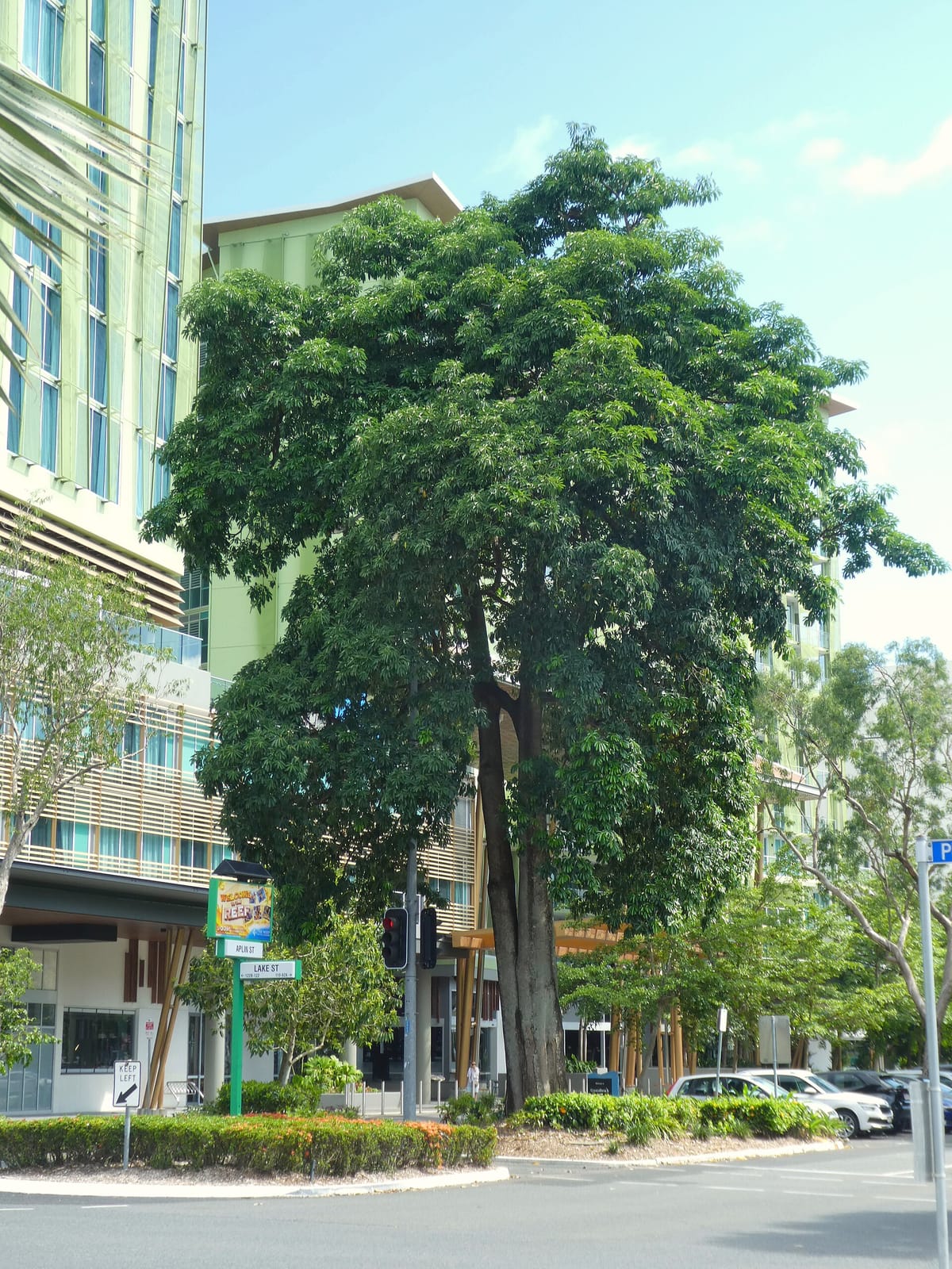 Cairns Burger Cafe photo 4