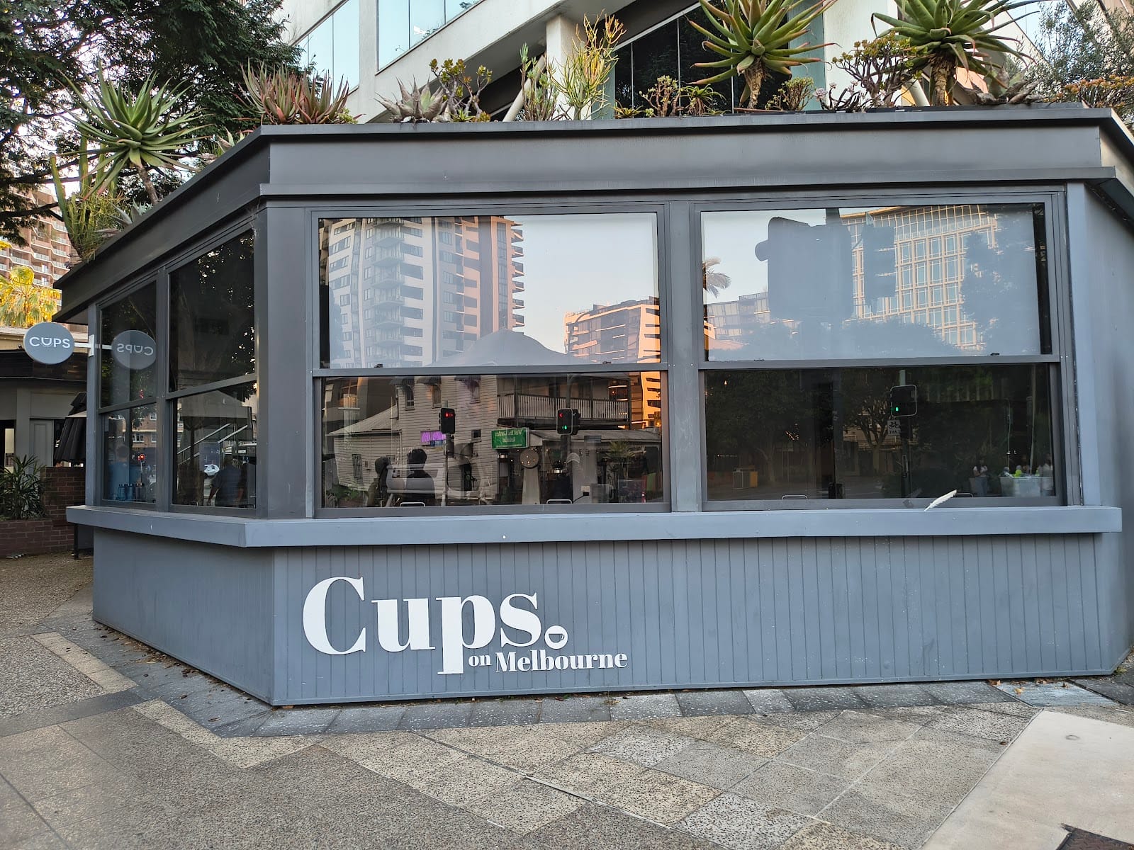 Cups on Melbourne