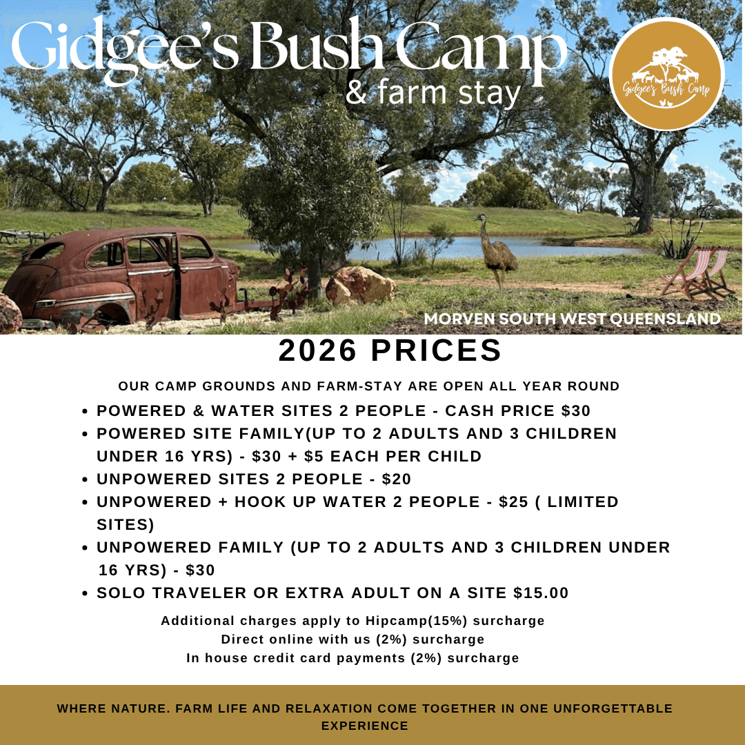 Gidgee's Coffee Shop - Campers Only photo 2