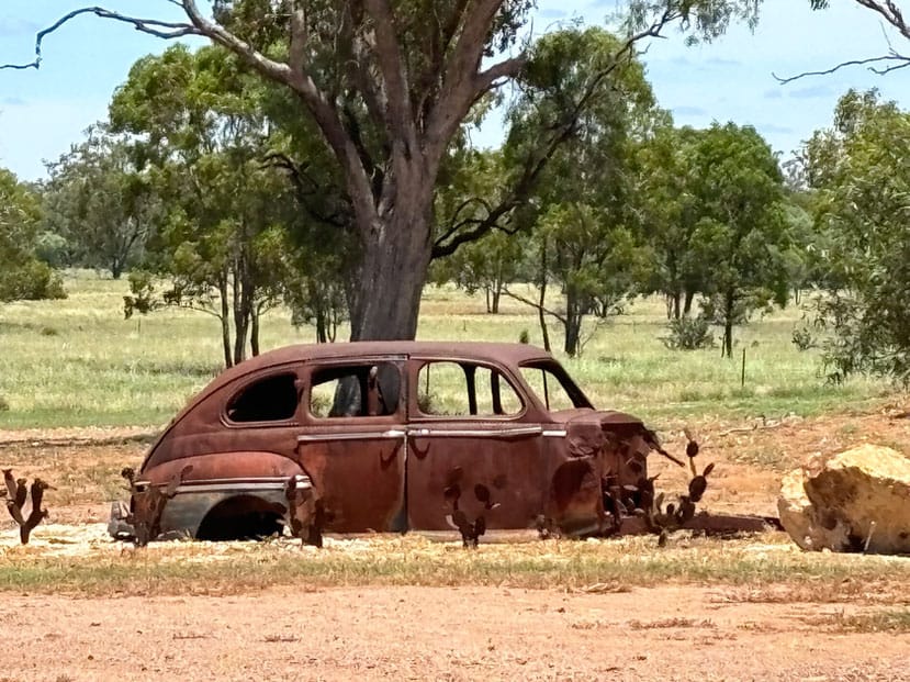 Gidgee's Coffee Shop - Campers Only photo 7
