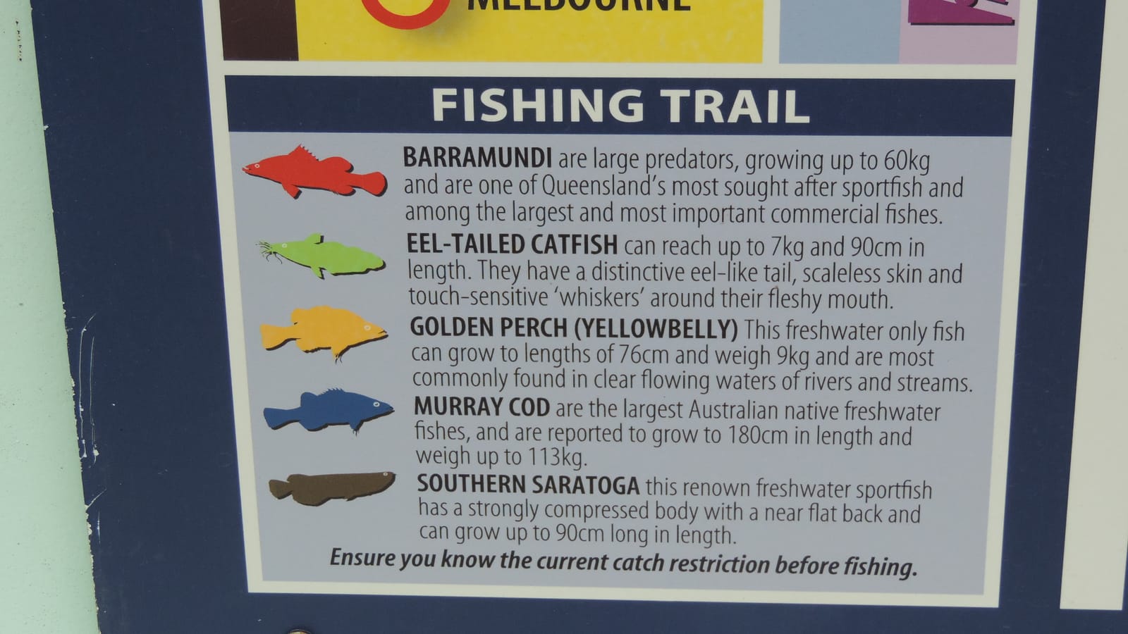 Castle Creek Cafe photo 4