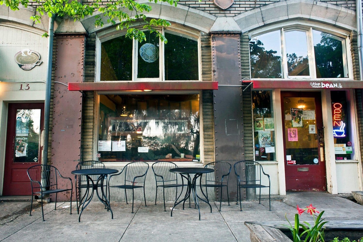 The Sentient Bean photo 2