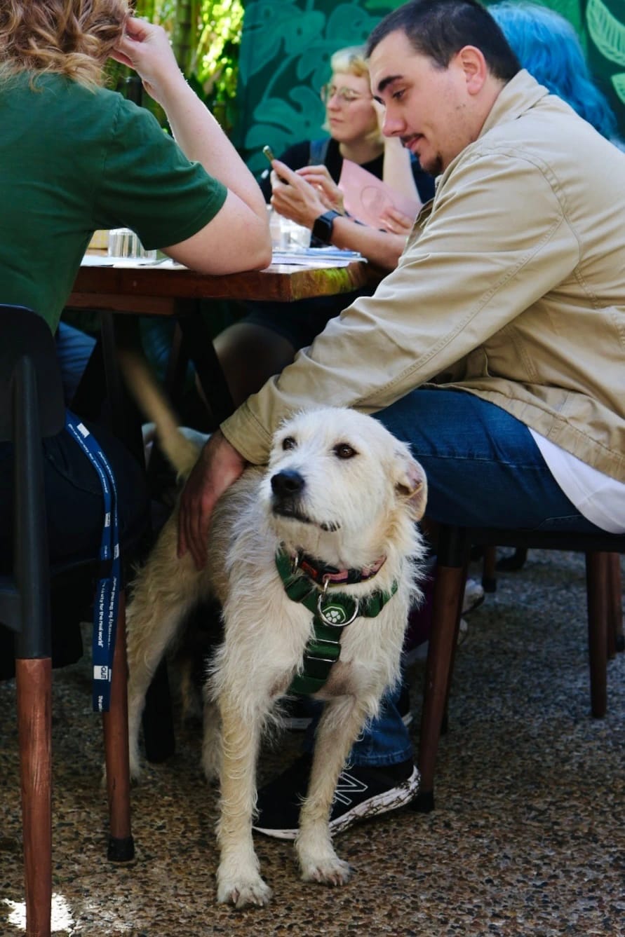 Sisco Cafe photo 5