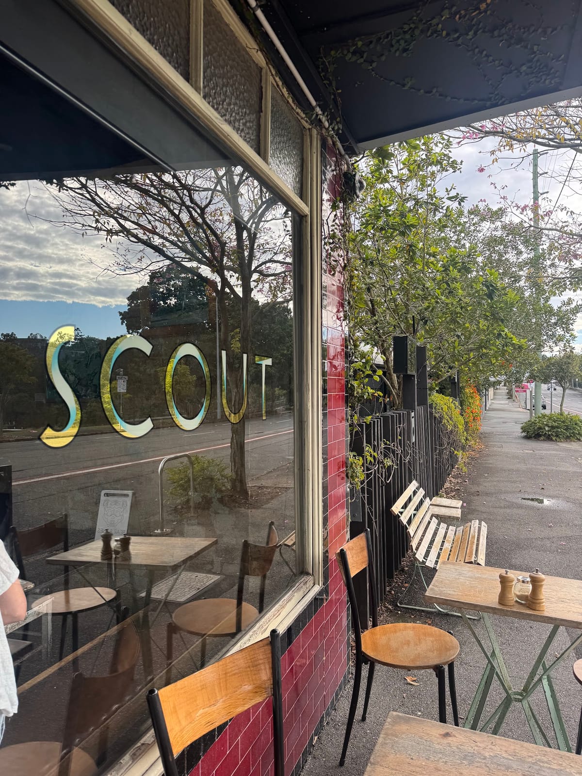 Scout