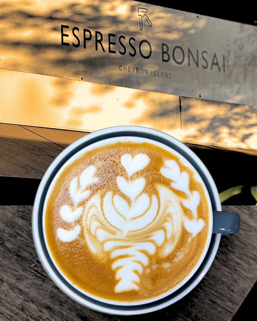 Espresso Bonsai photo 8