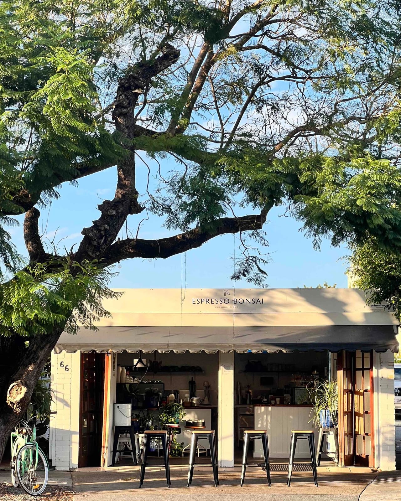 Espresso Bonsai
