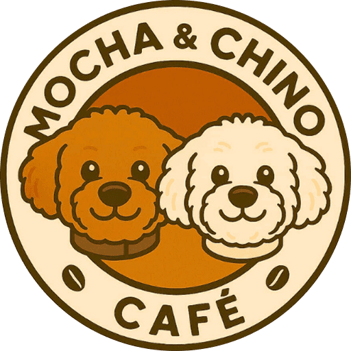 Mocha & Chino Cafe photo 3