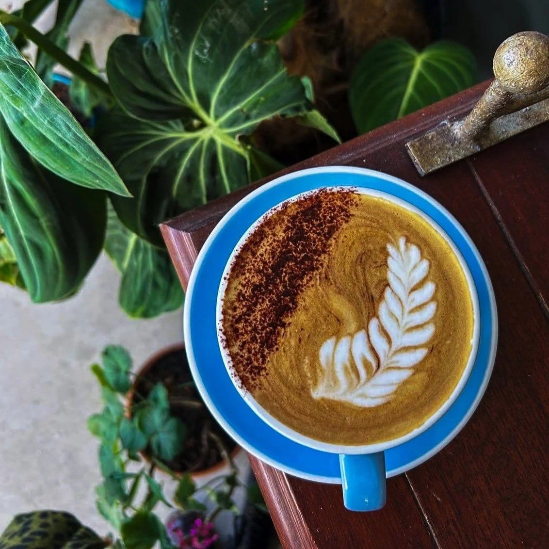 Early Birds Cafe photo 4