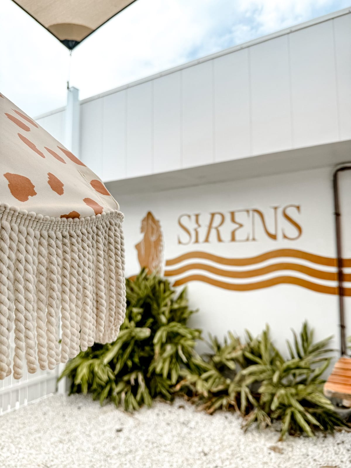 Sirens Bayside photo 4