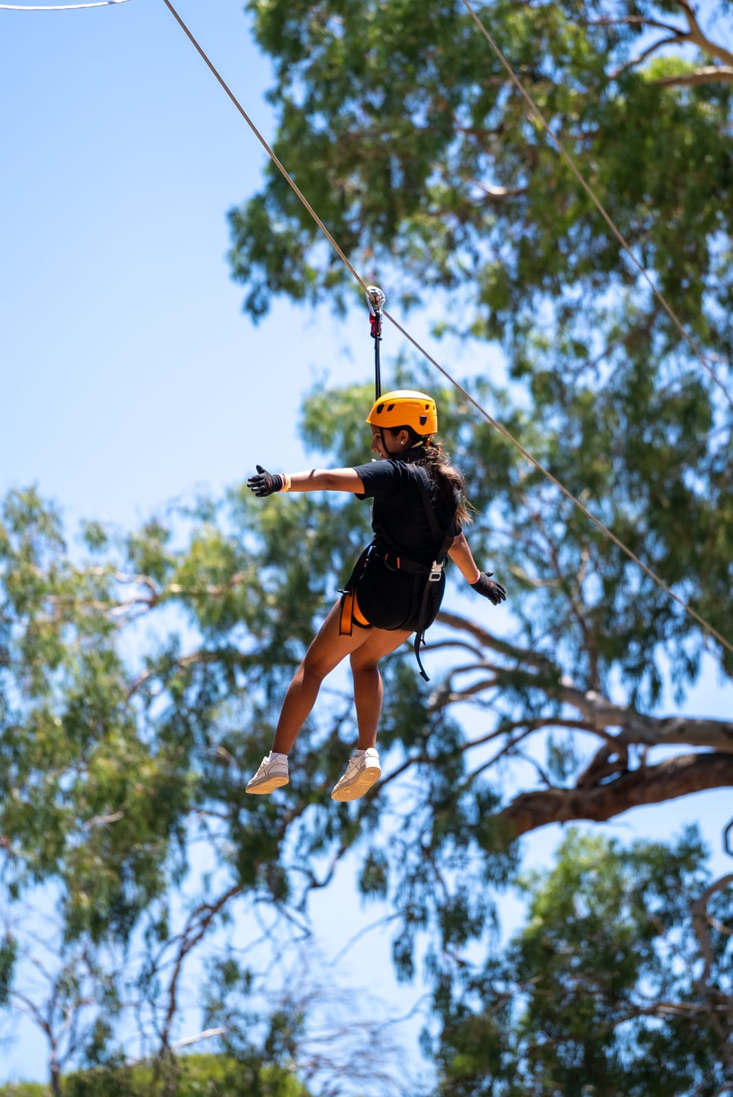 Tree Climb Adelaide photo 6