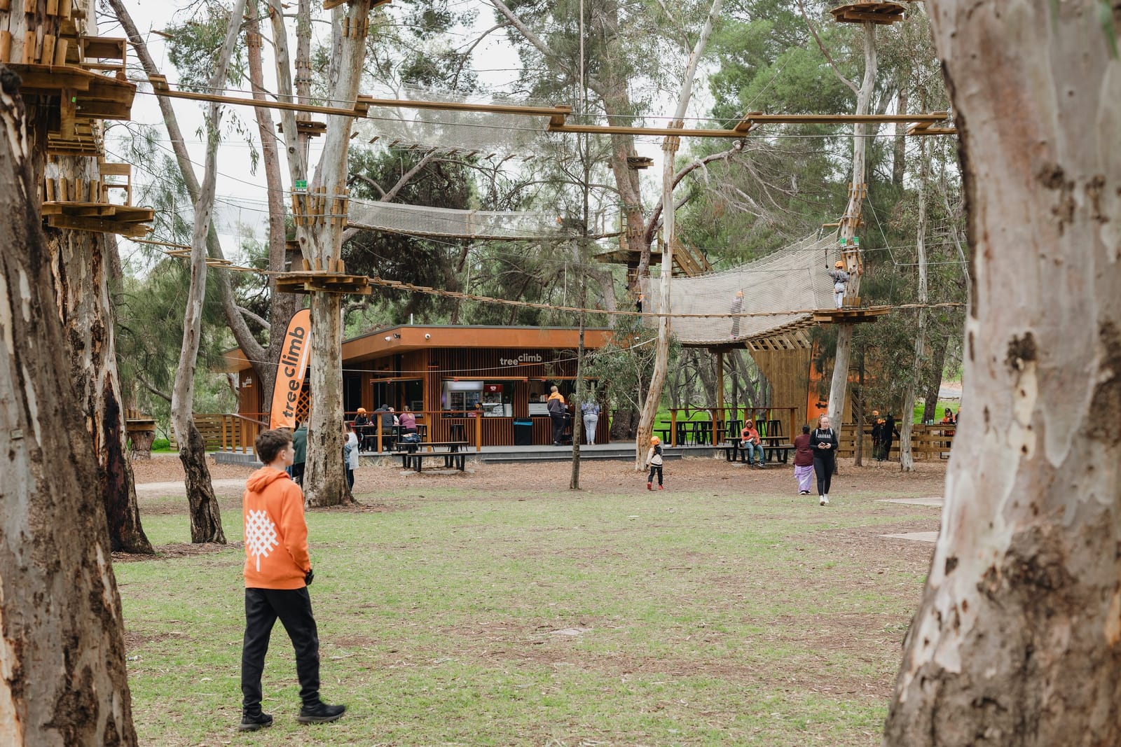 Tree Climb Adelaide photo 4