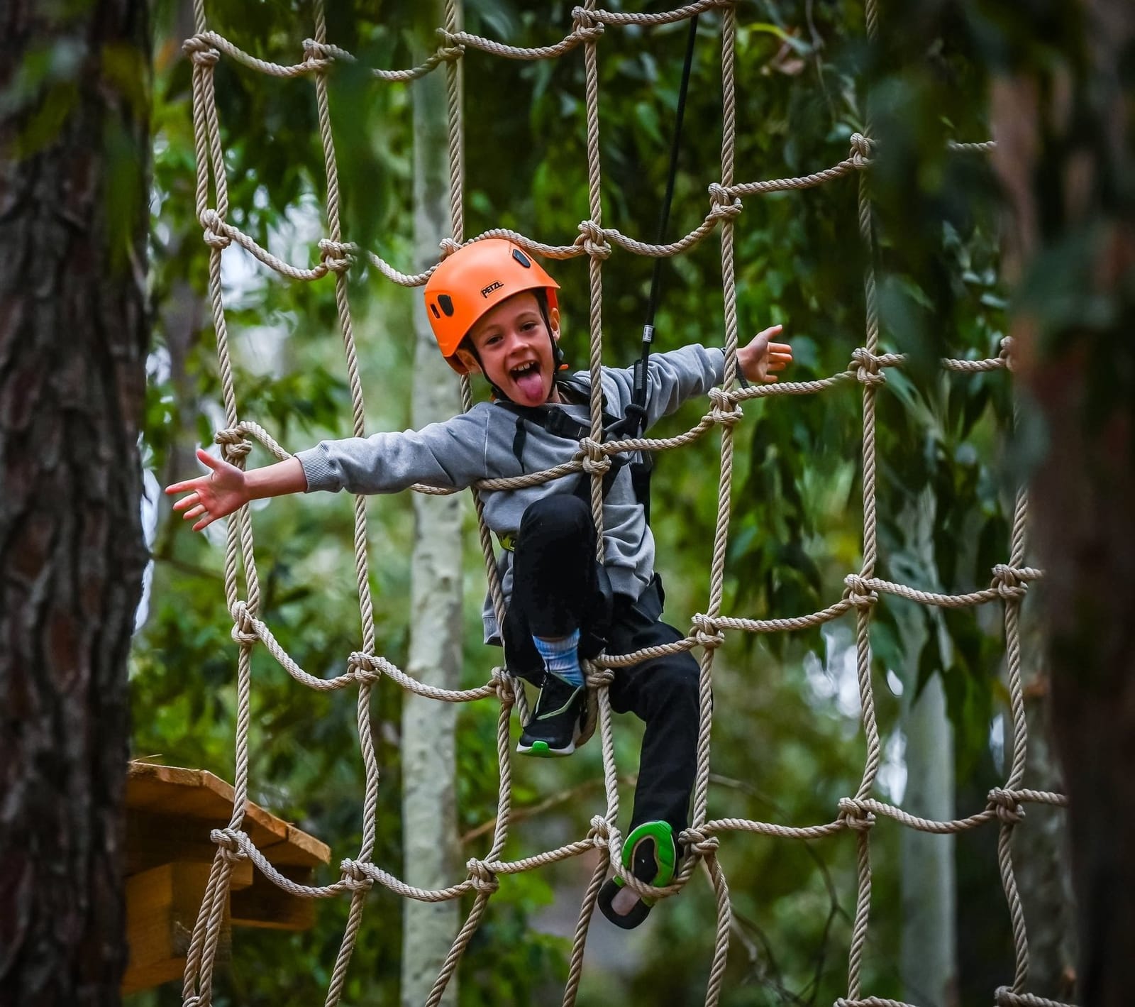 Tree Climb Adelaide