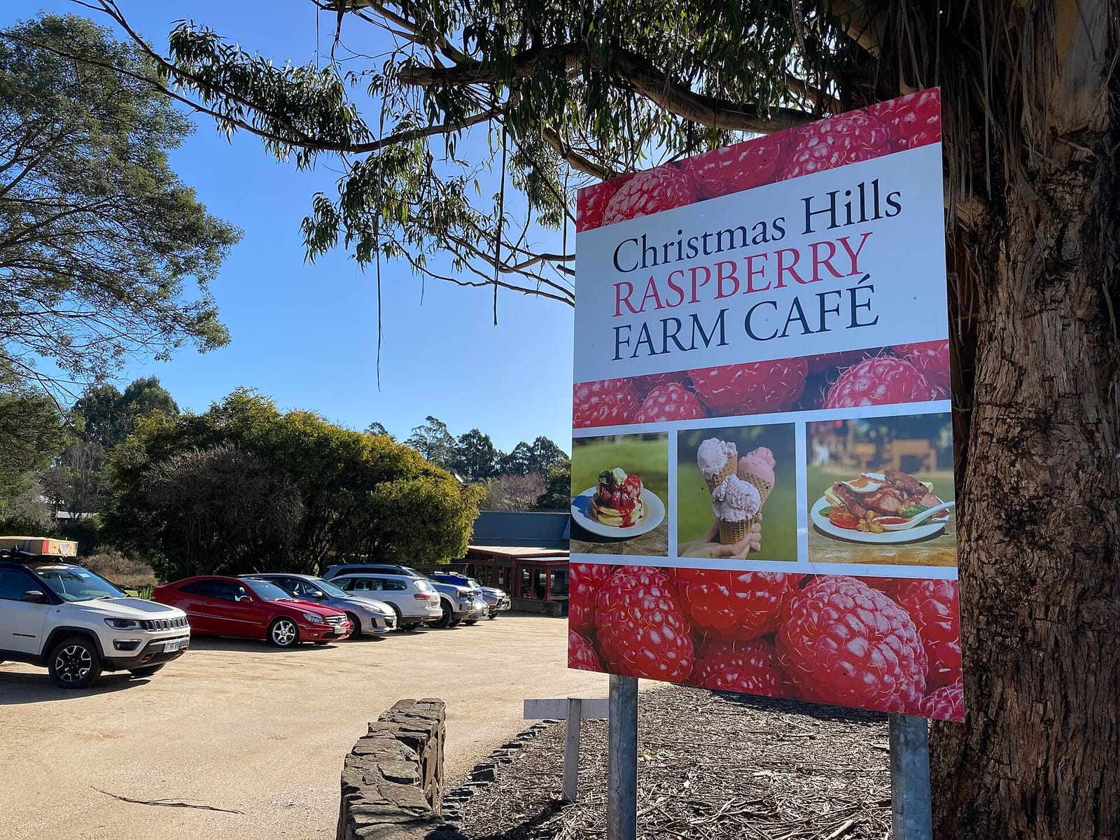 Christmas Hills Raspberry Farm Cafe photo 3