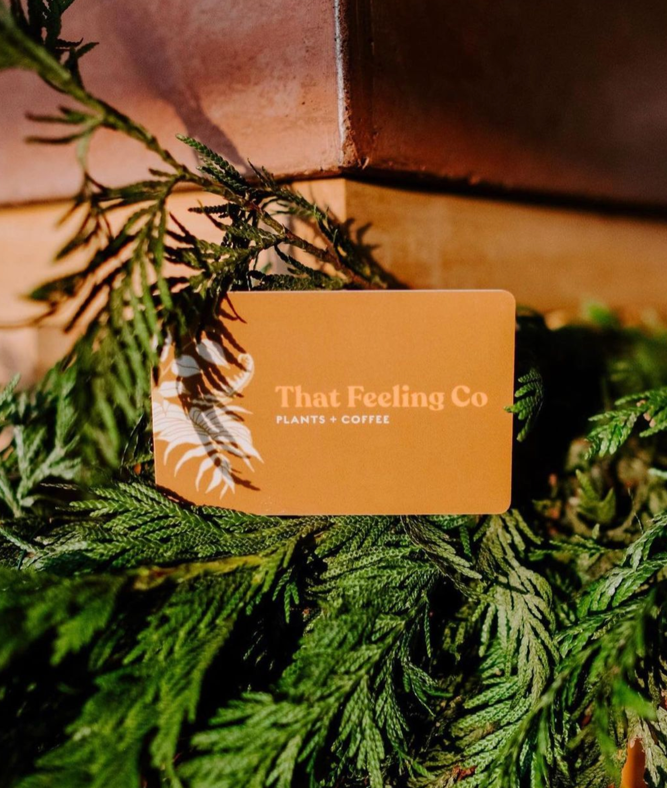 That Feeling Co. photo 5