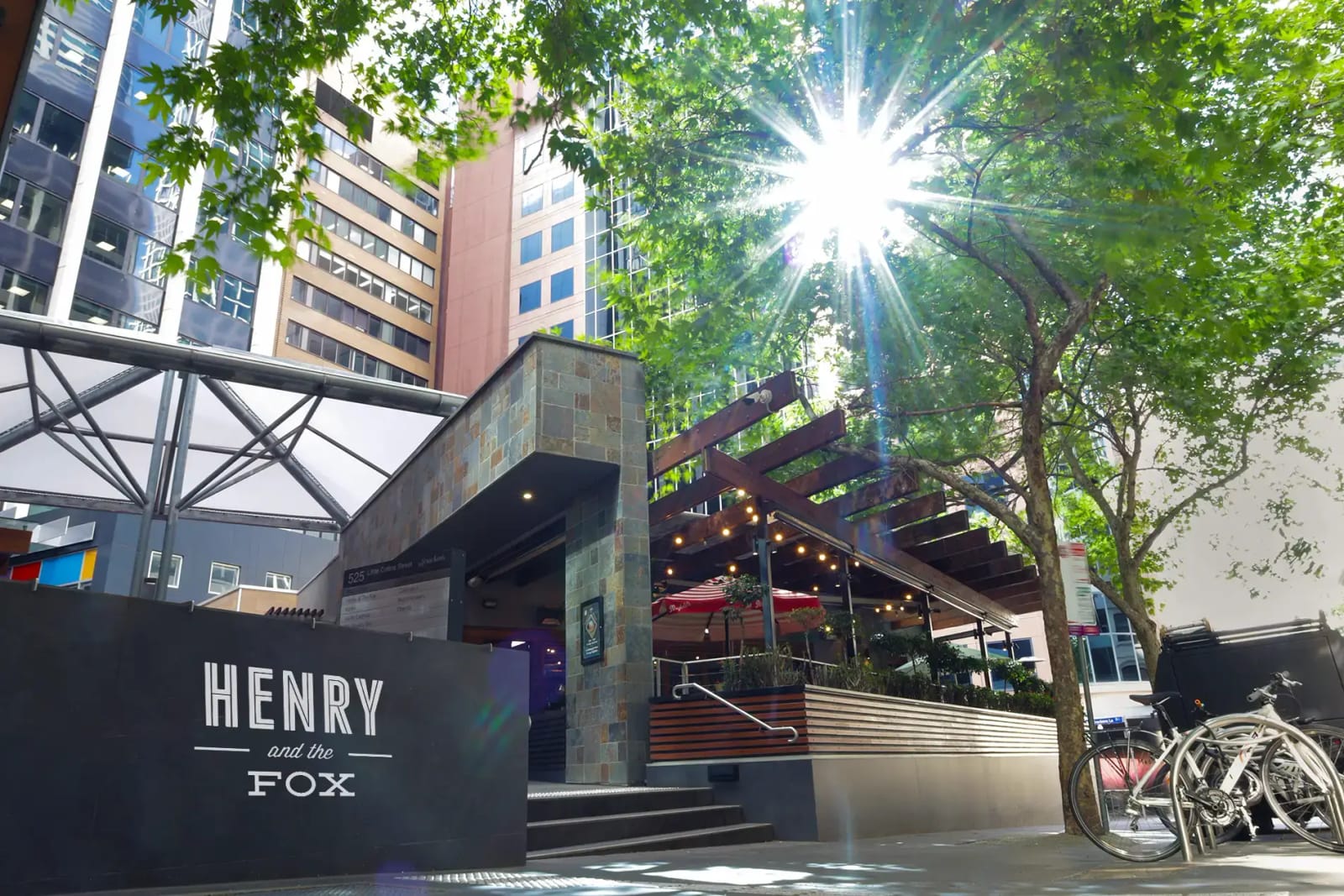 Henry & the Fox photo 2