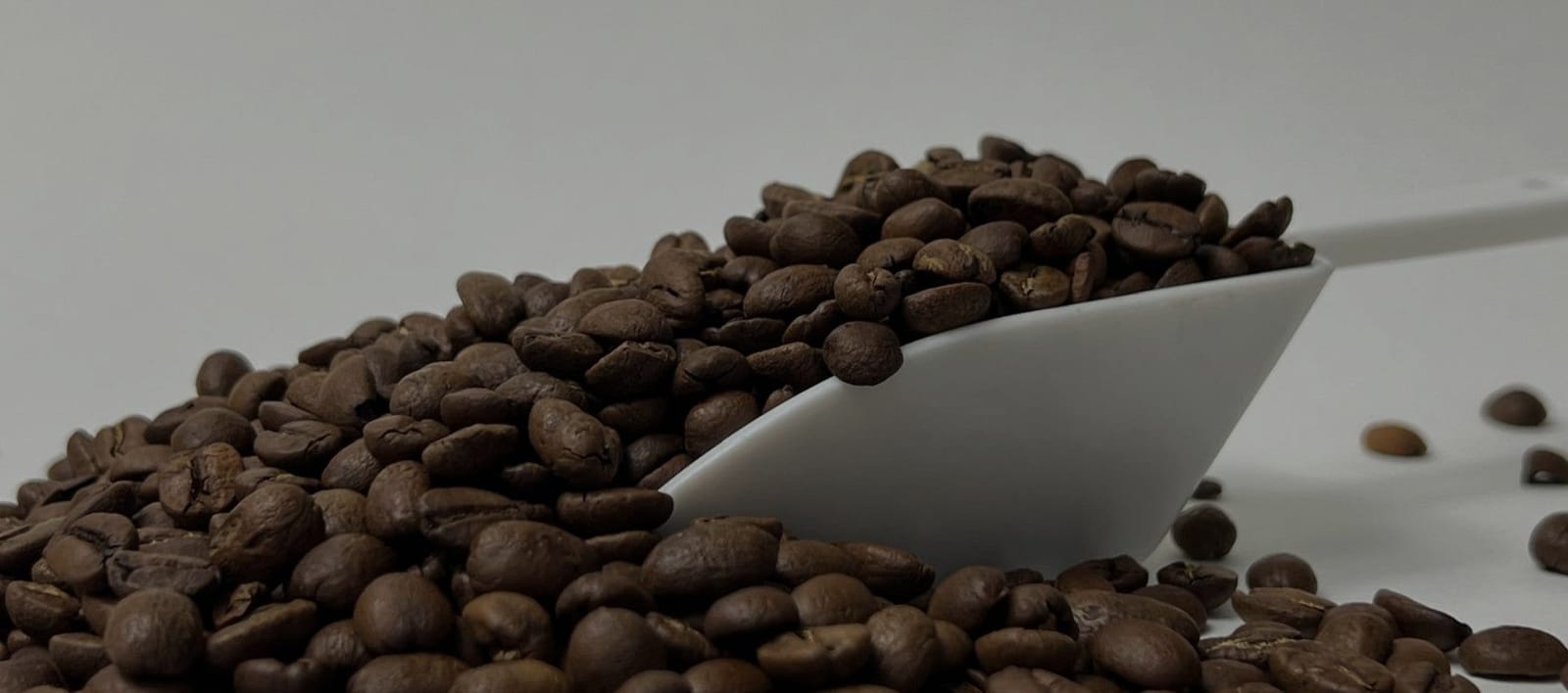Bearded Brothers Coffee photo 3