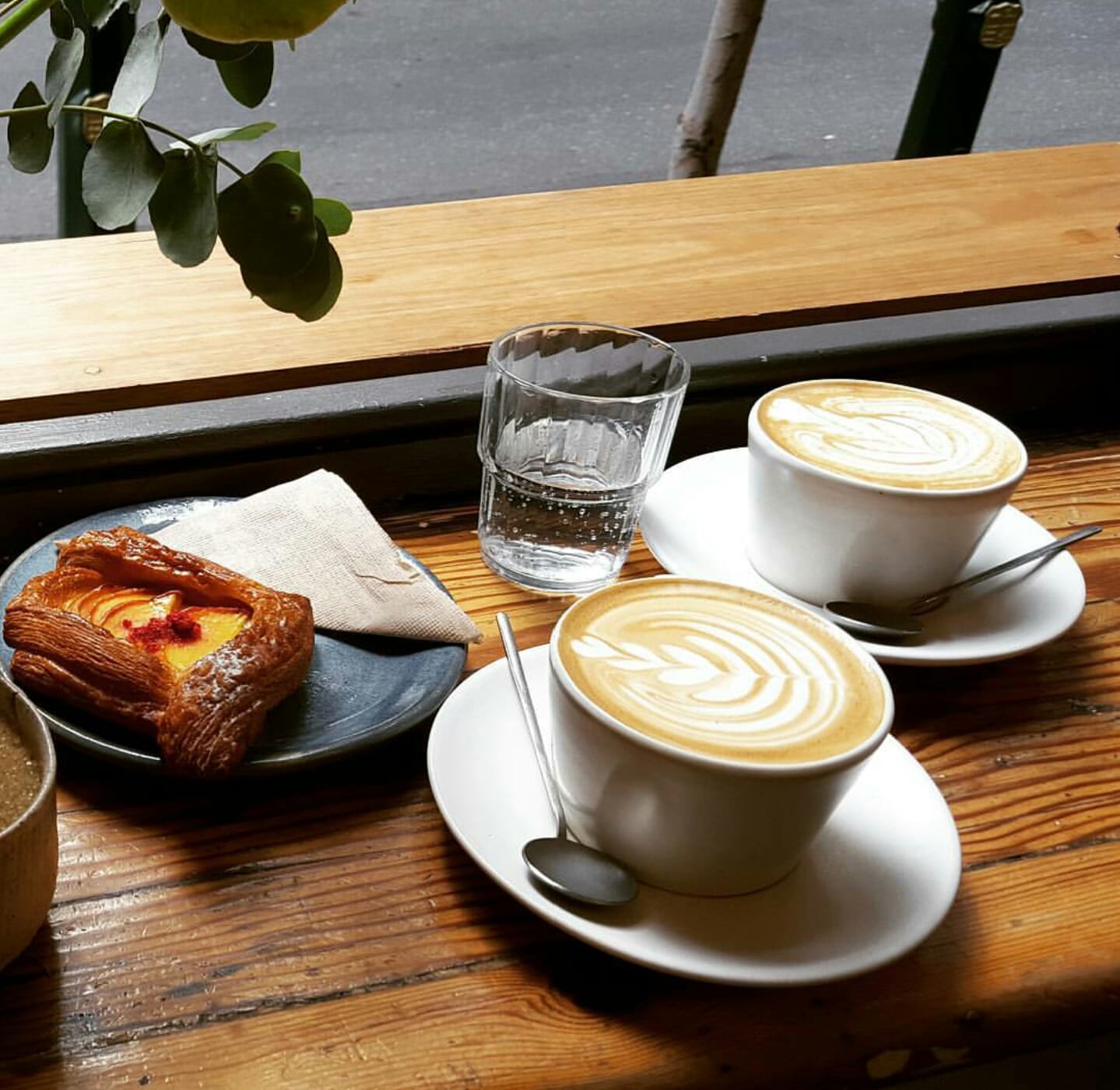 Patricia Coffee Brewers