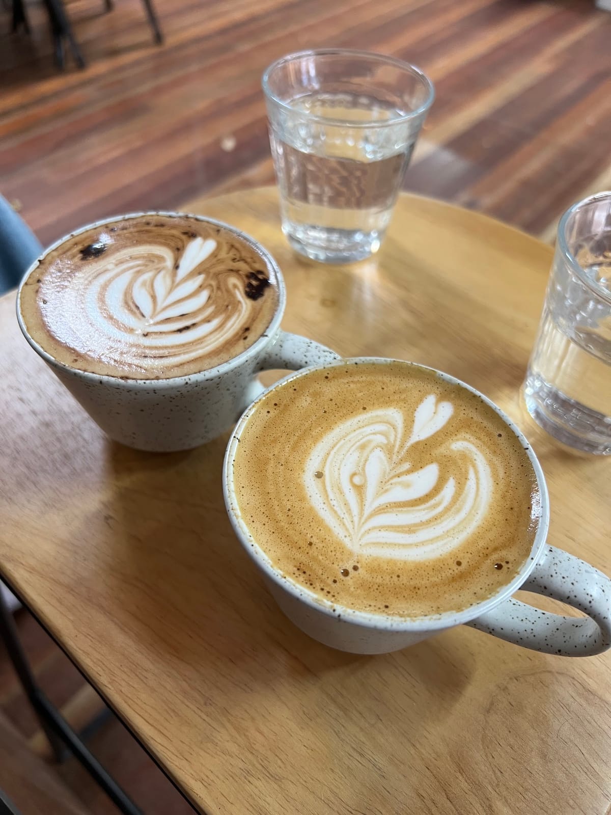 Tribu Coffee Roasters