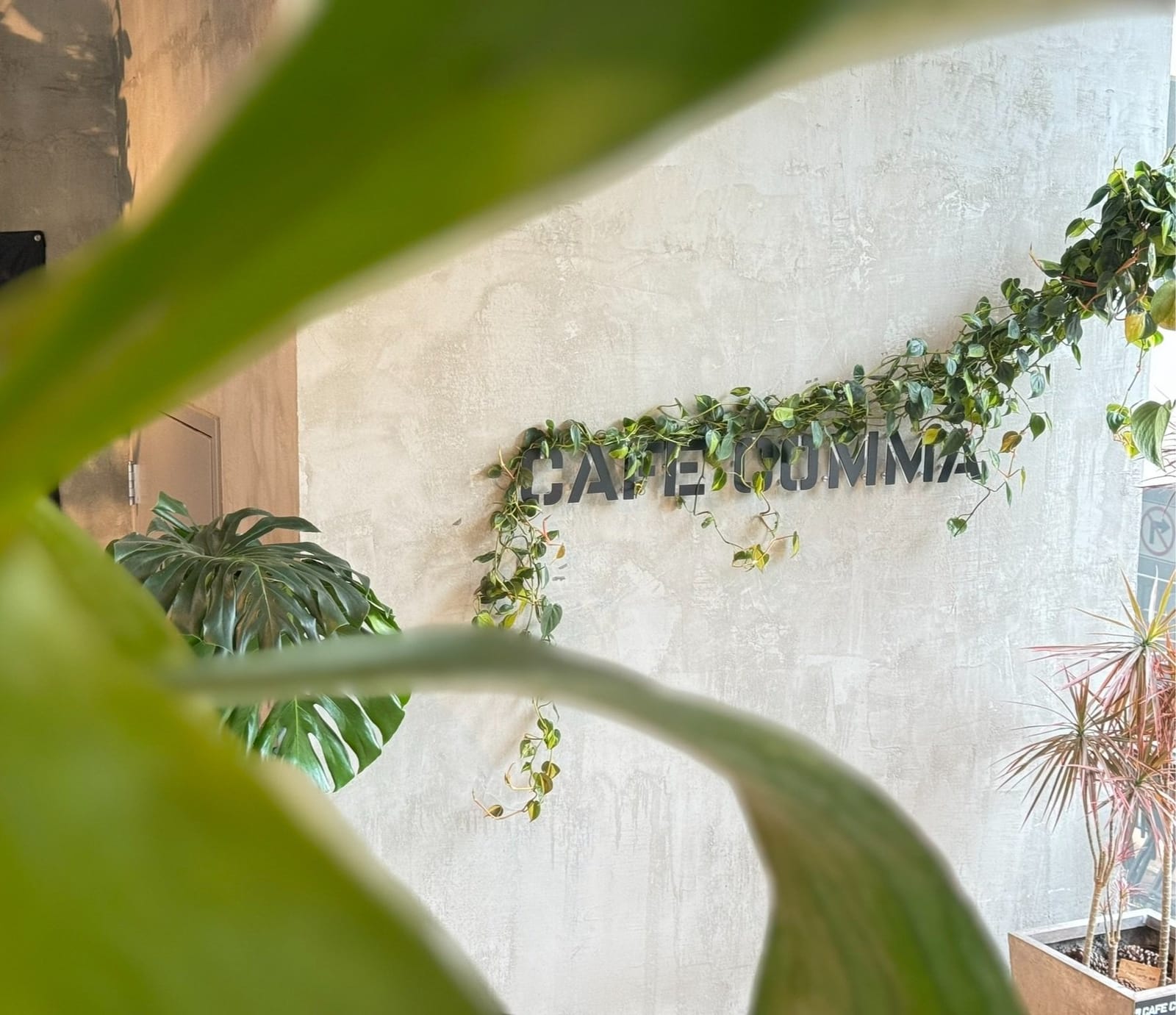 Cafe Comma photo 6