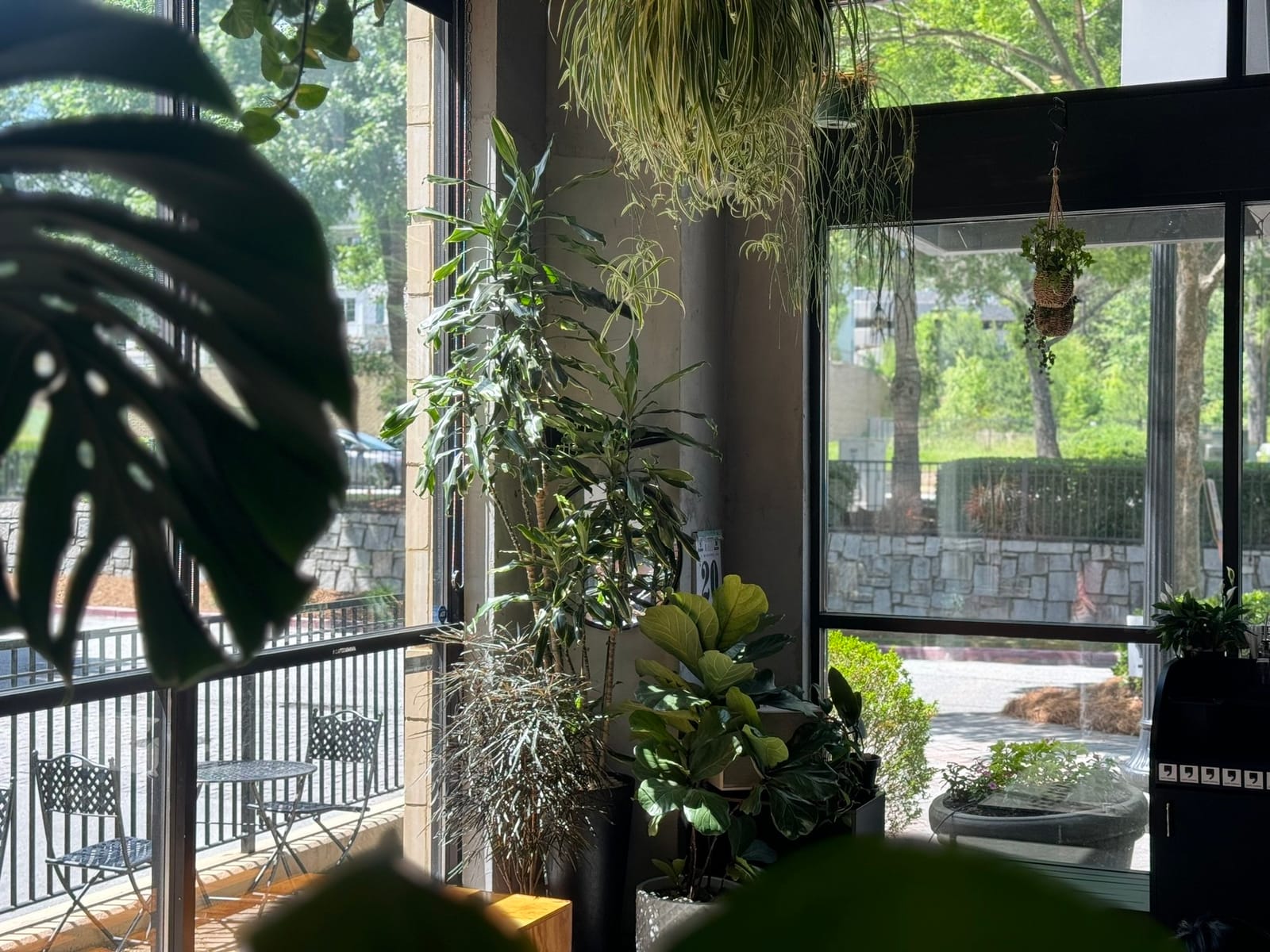 Cafe Comma photo 3