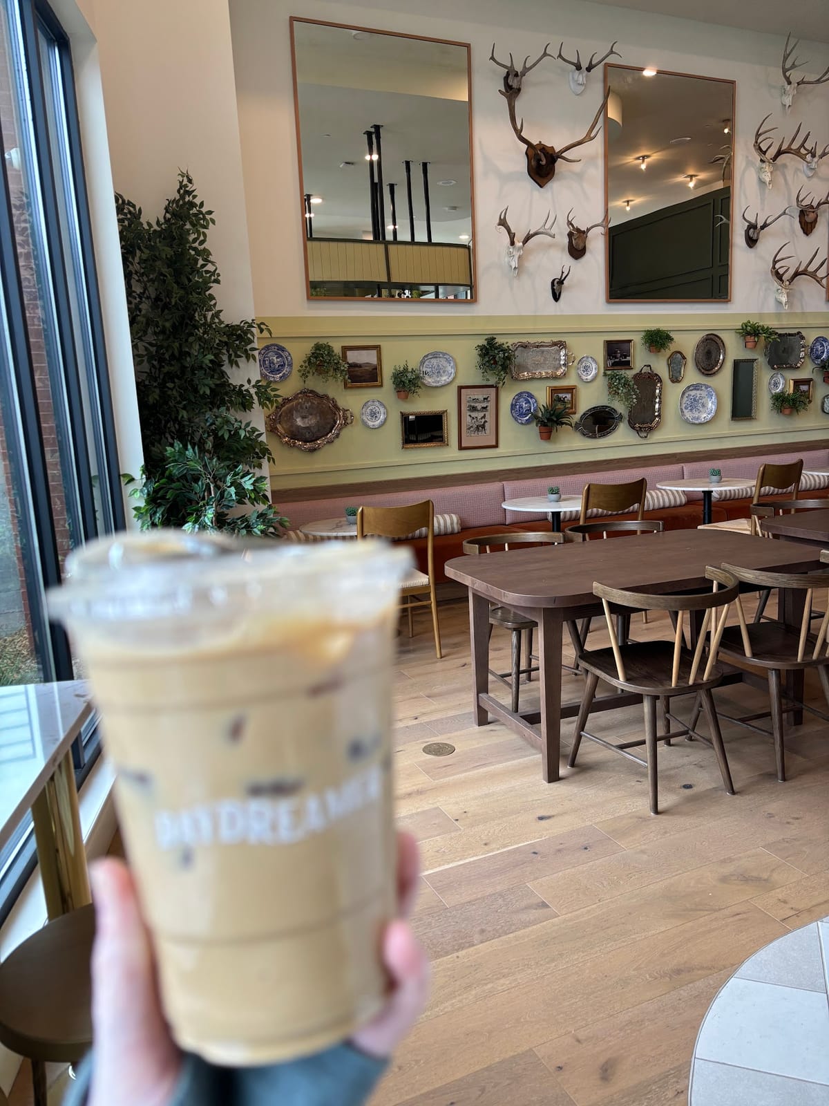 Daydreamer Cafe