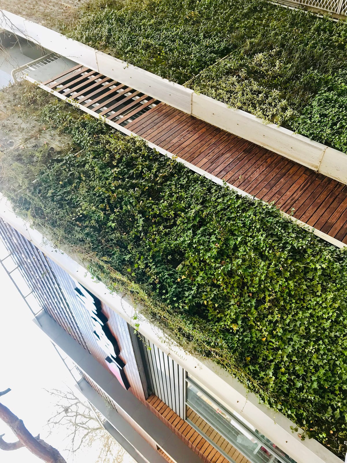 Araz terrace photo 2
