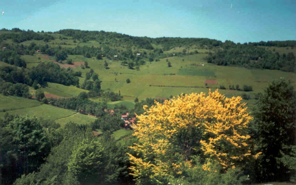 Elitte Bella Italia