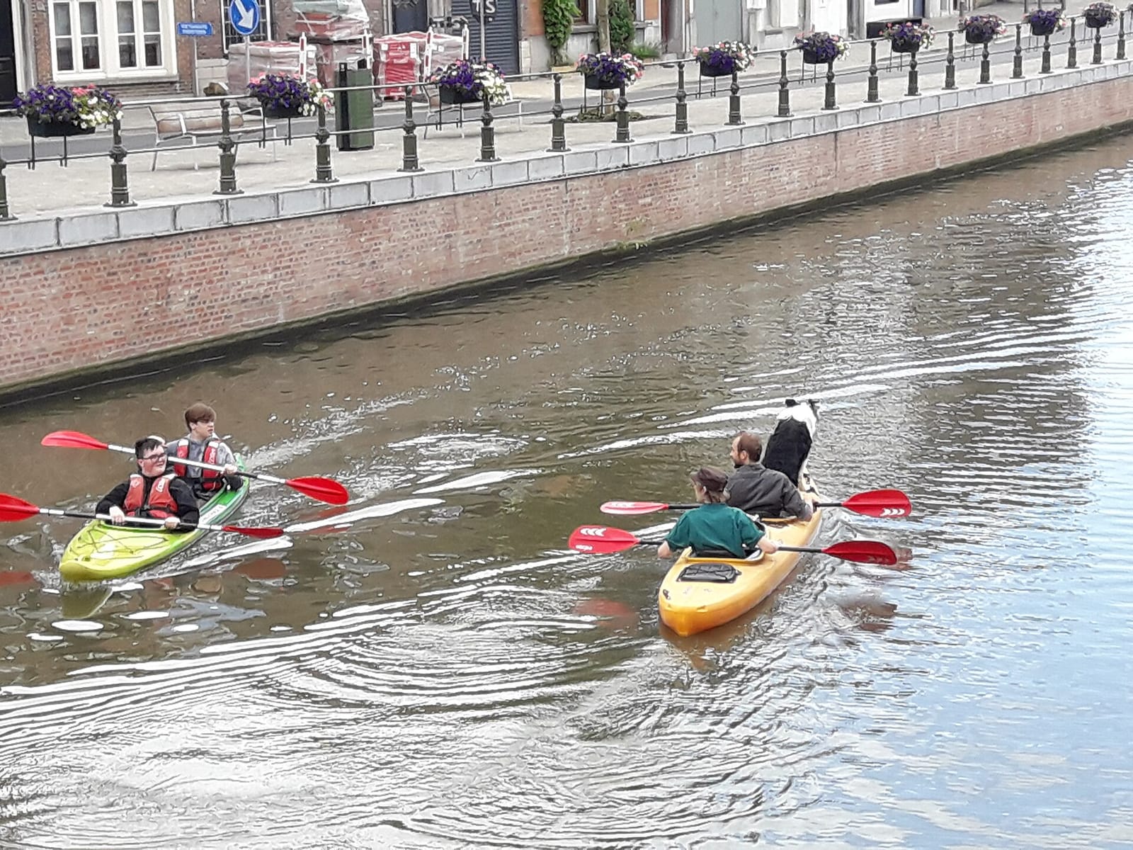 Claw photo 2