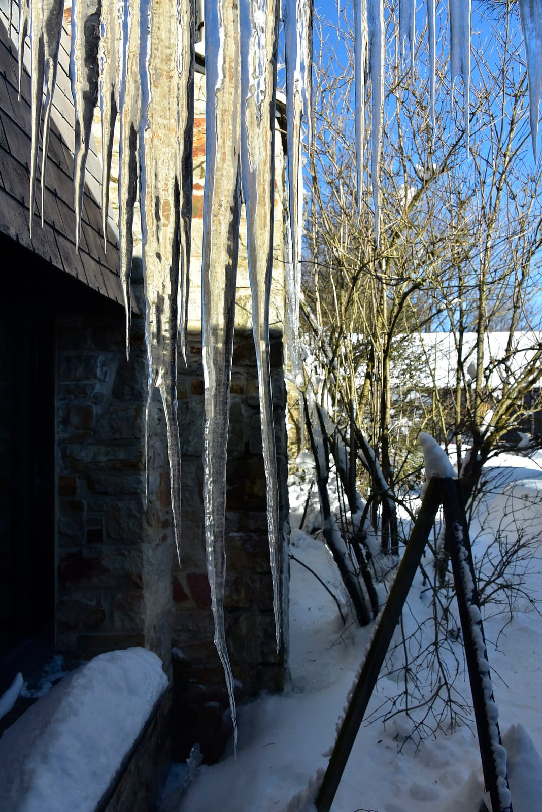 Le Bistrot Loci photo 3