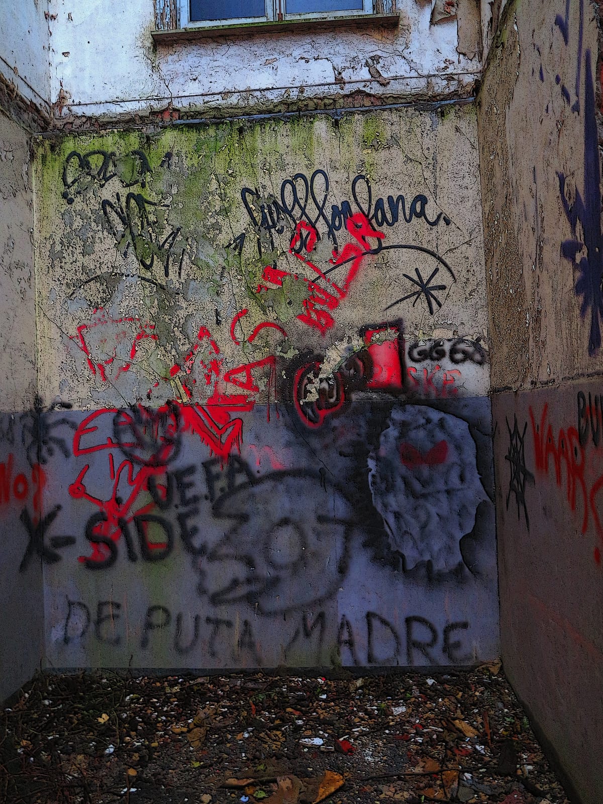 Kasserol photo 2