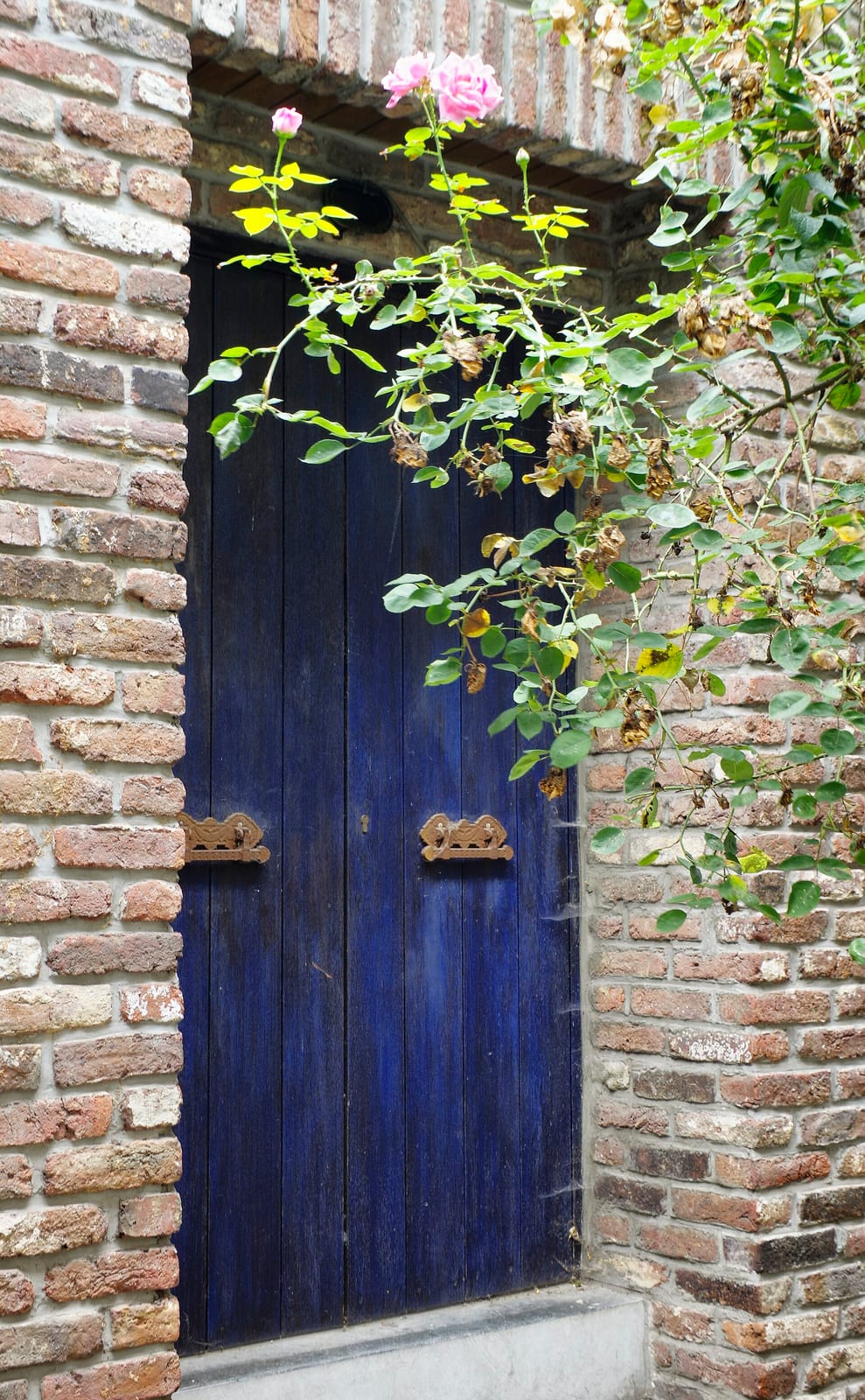 Montjoie photo 3