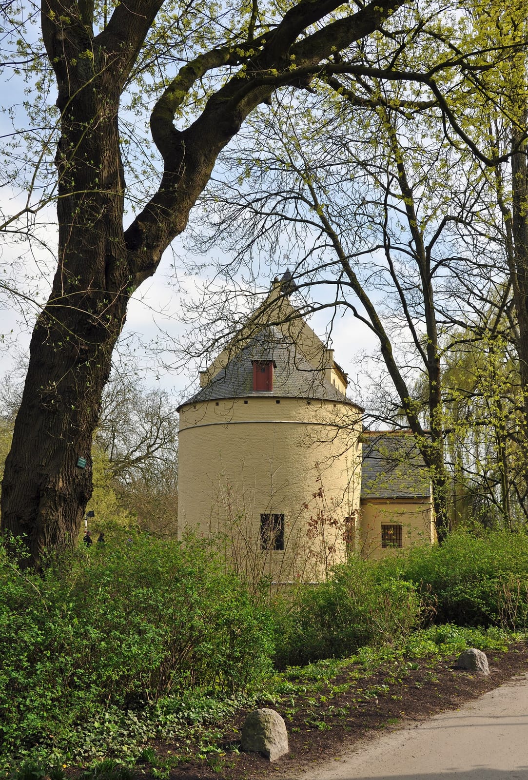 Stera - Plantenbar photo 4
