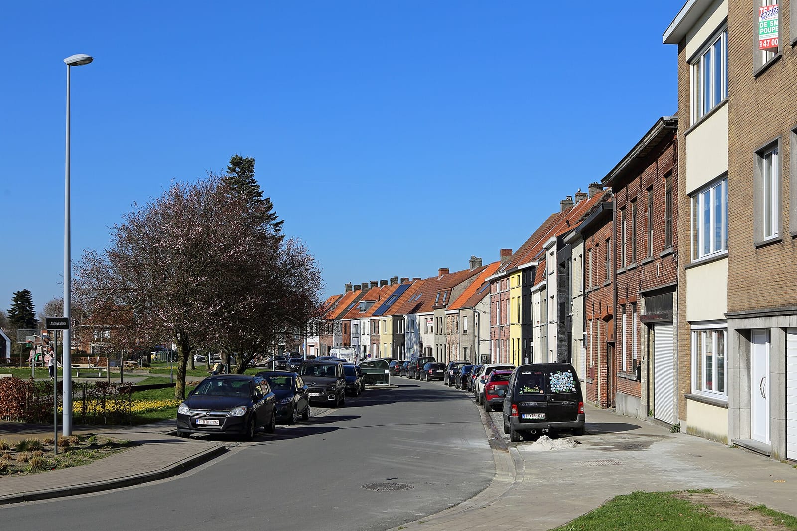 Stera - Plantenbar