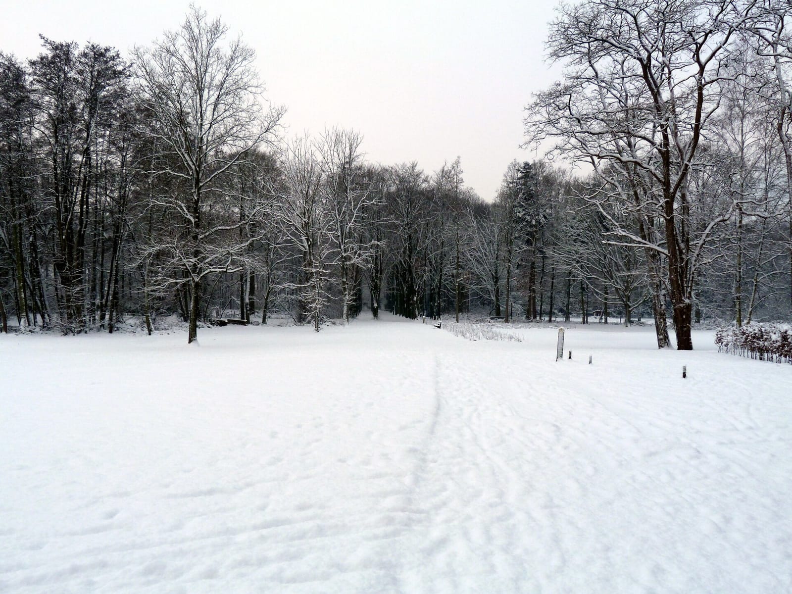 Parkcafé Ryckevelde 1451