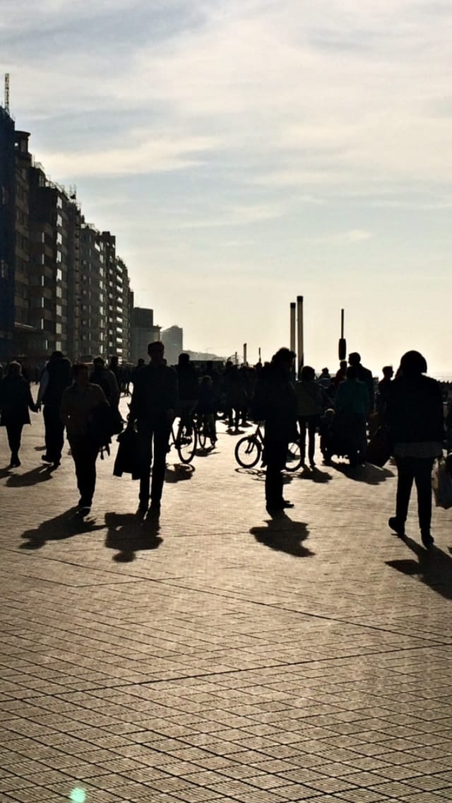 ‘t Kadaster photo 2