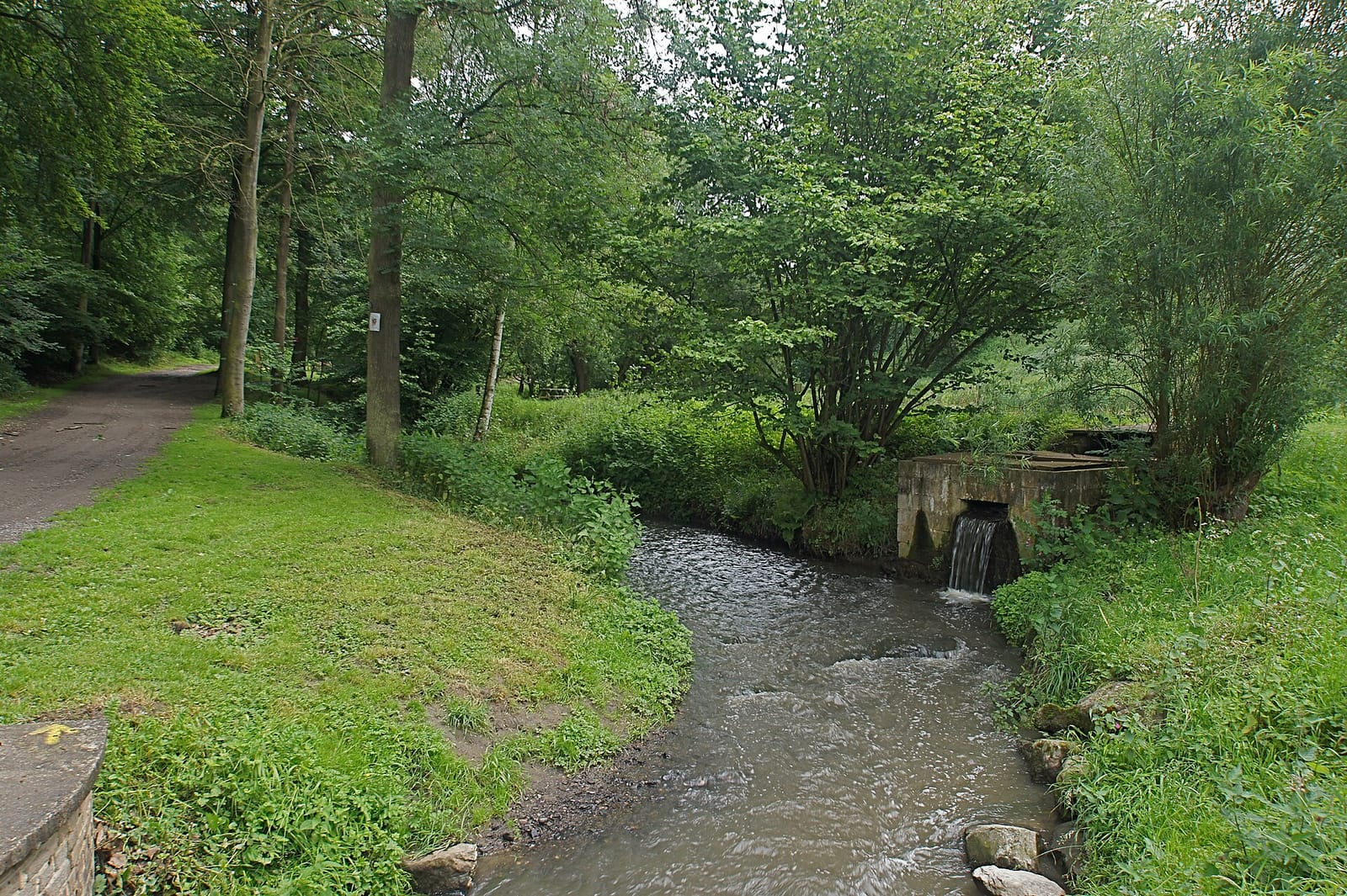 Ô bois de la julienne