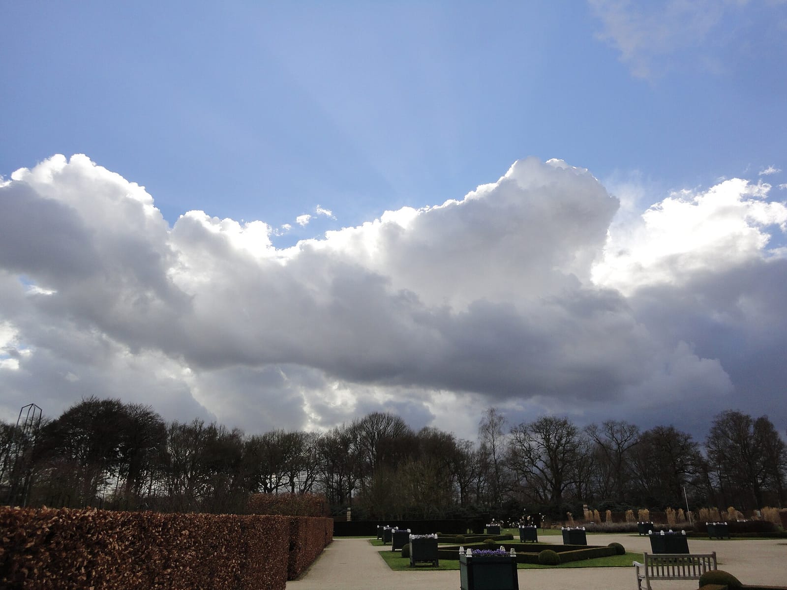 Oranjerie De Vlinder photo 2