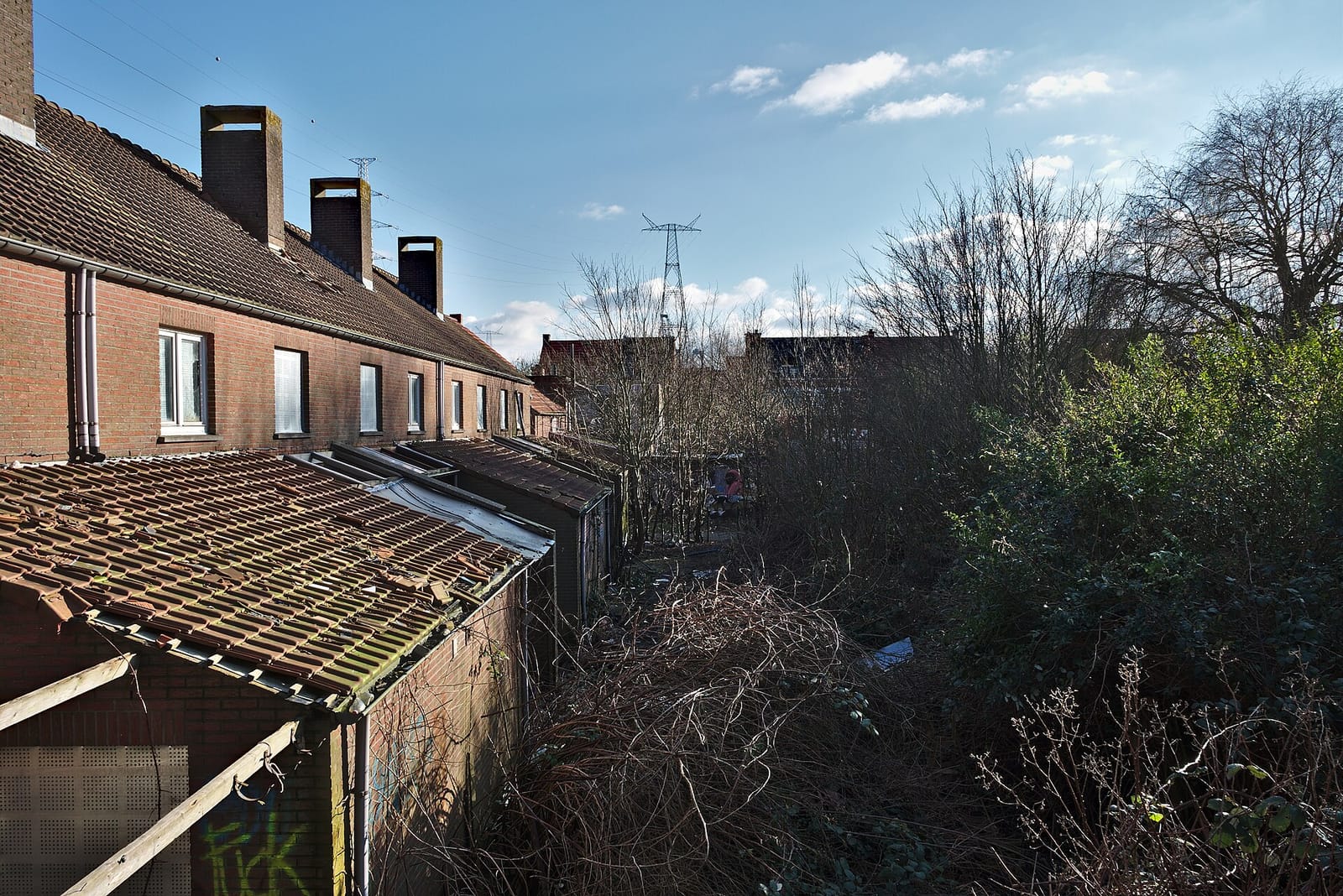 Doel 5 photo 3