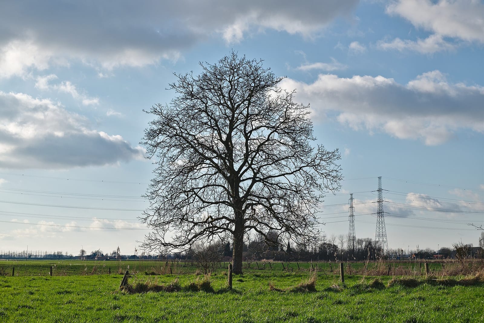 Doel 5