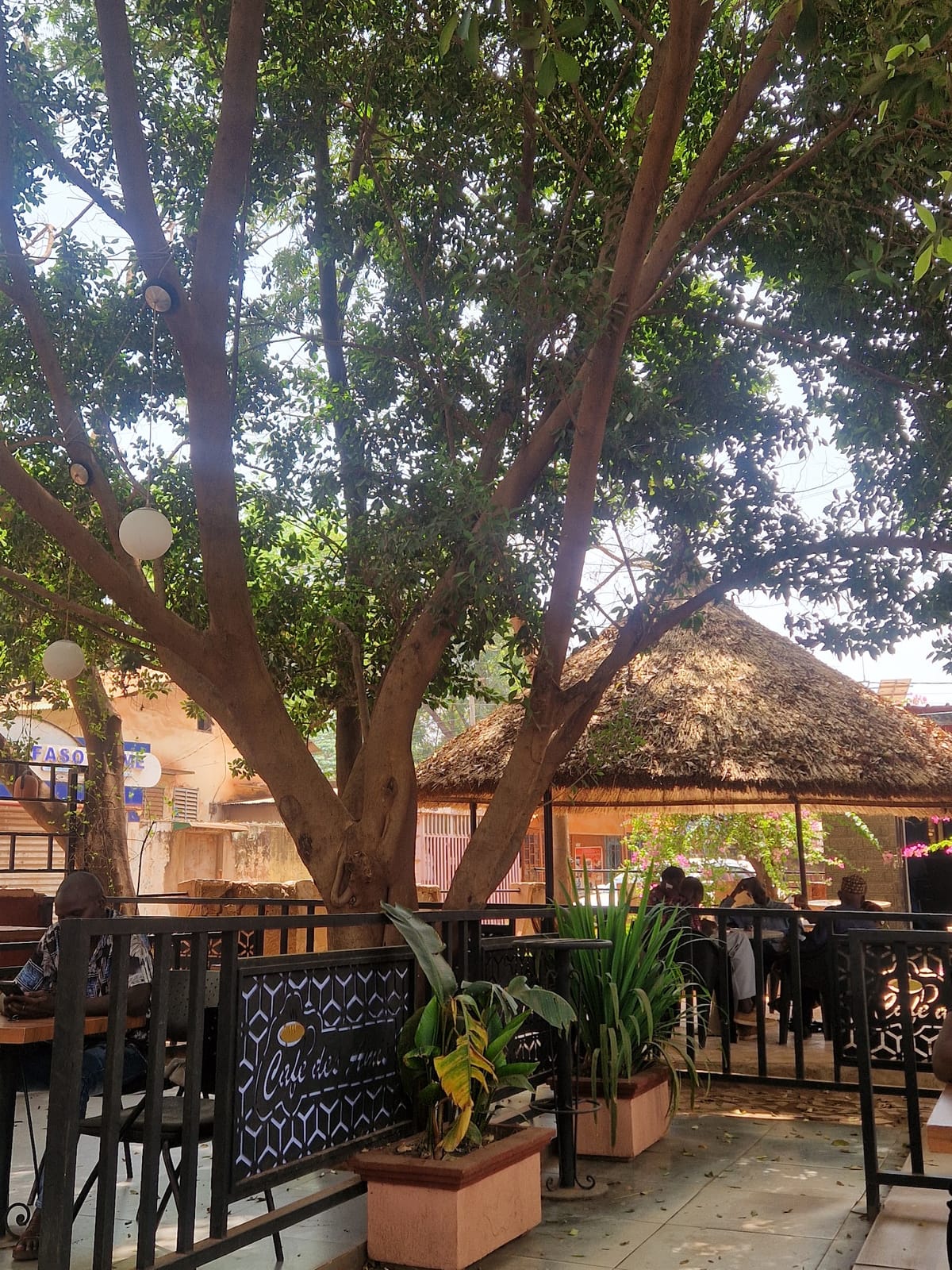 Café des amis